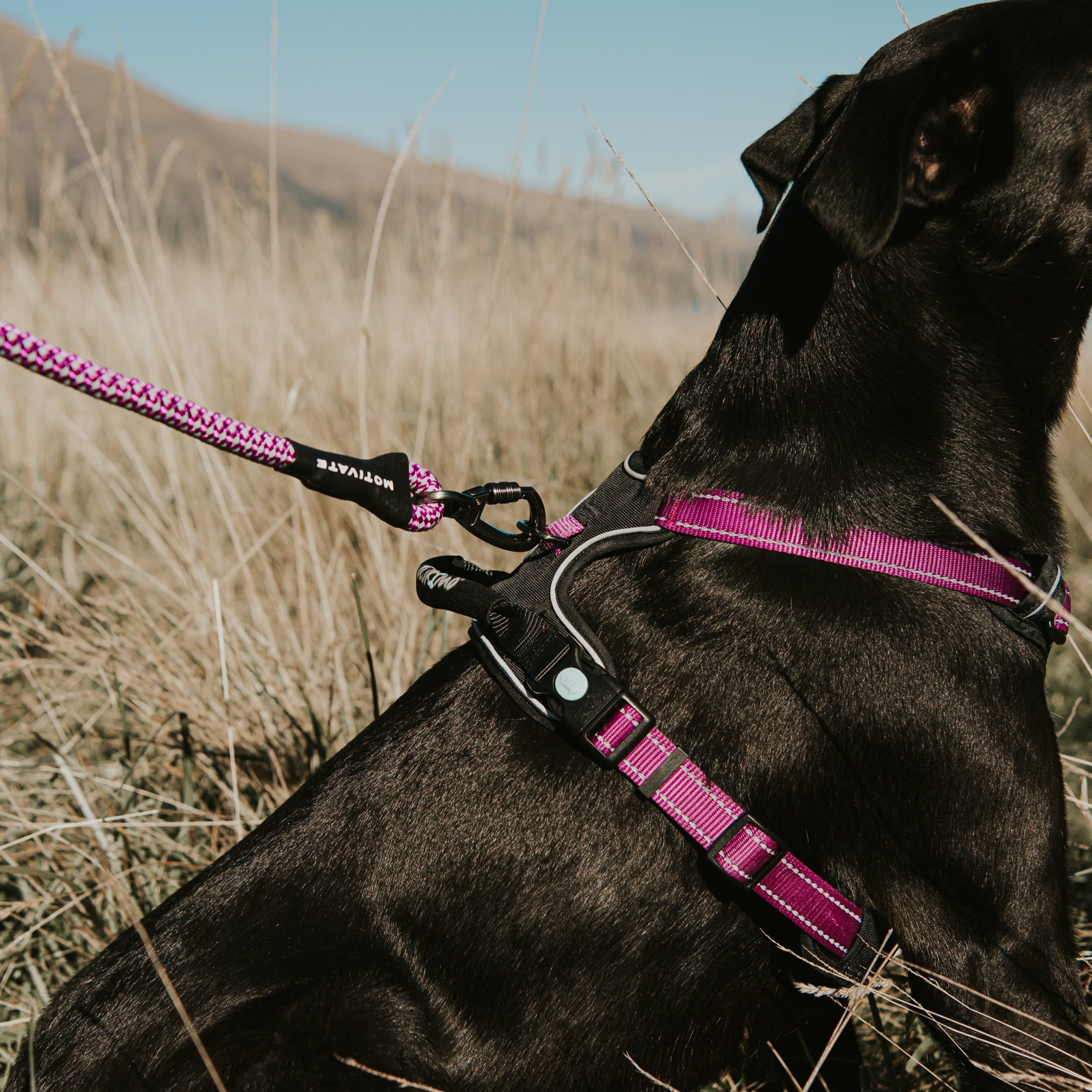 ULTIMATE HARNESS