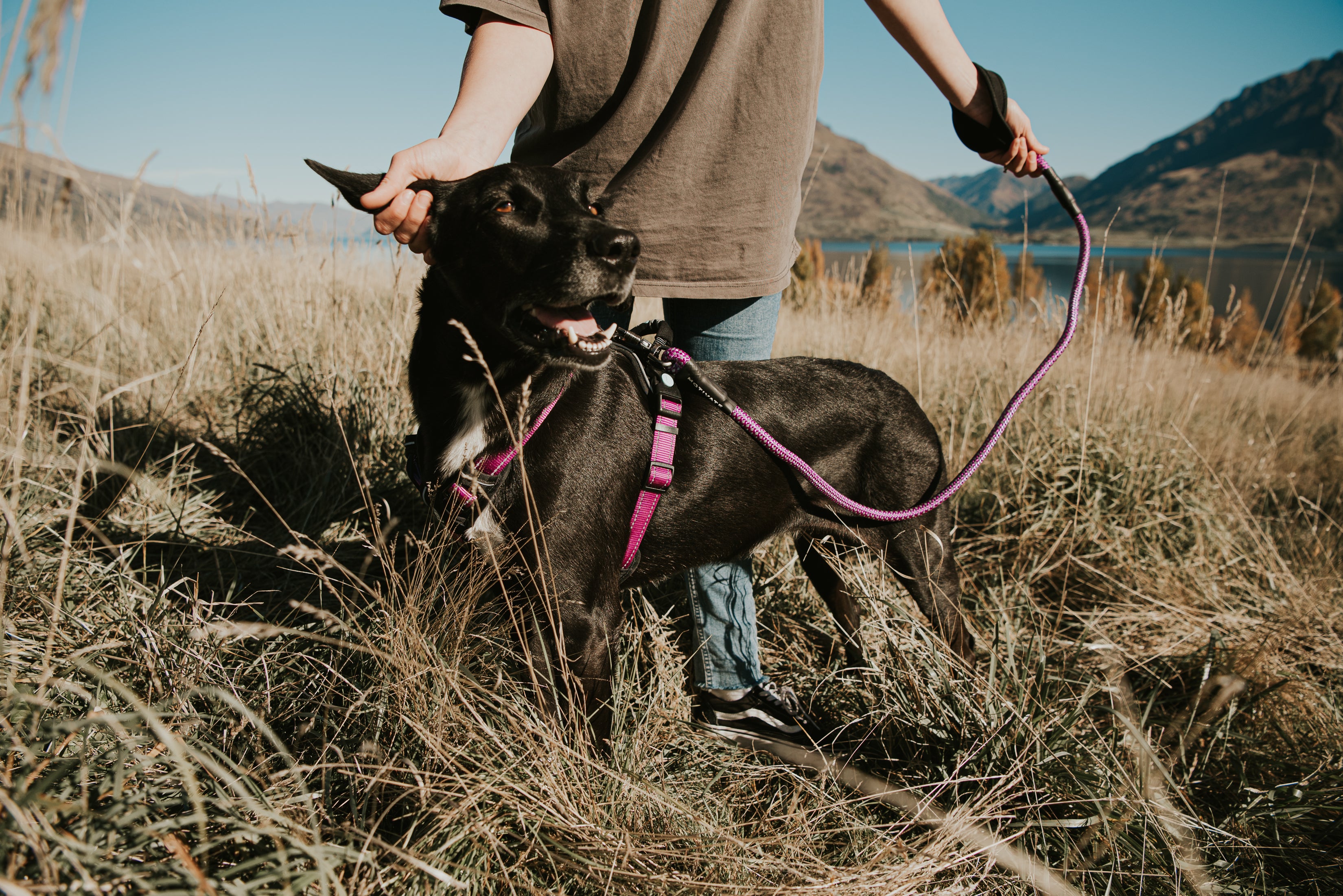 MOTIVATE LEAD