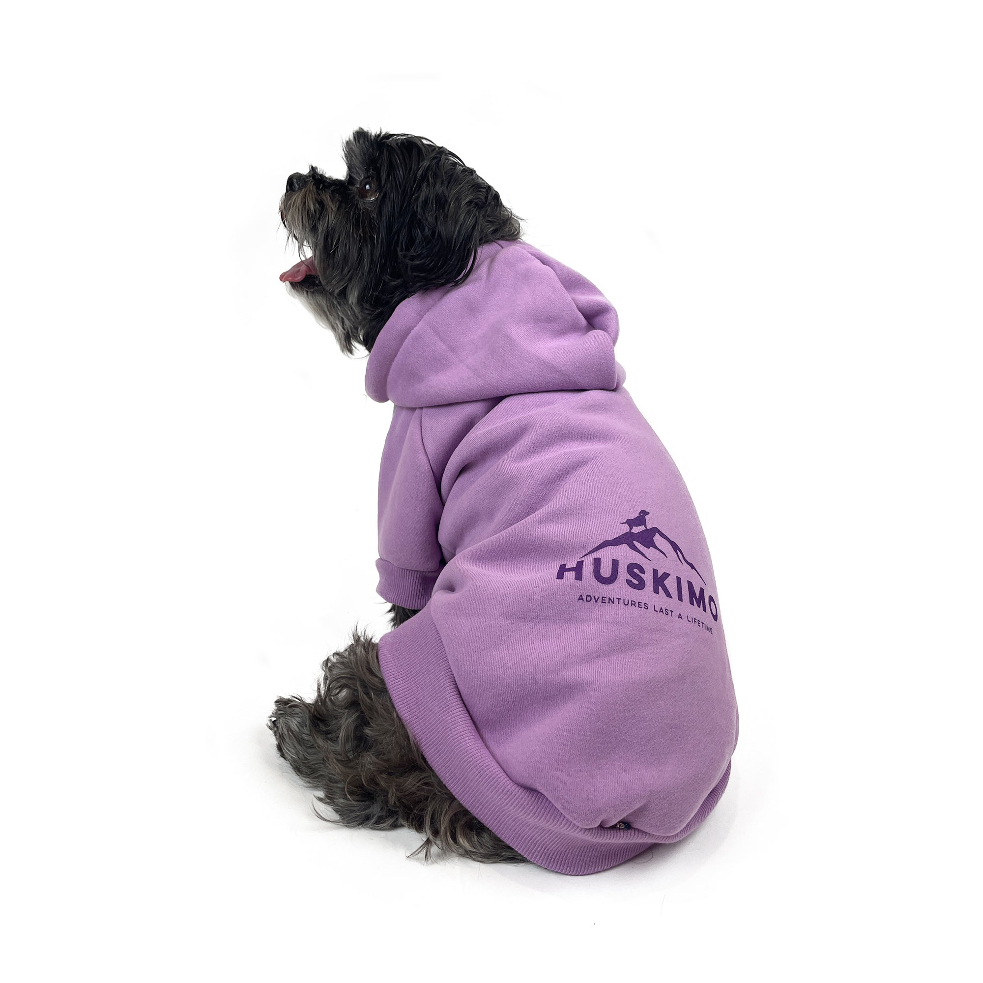 HARTZ PEAK HOODIE