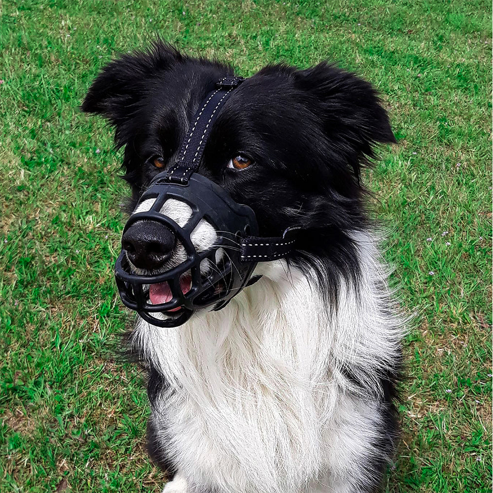 FREEDOM MUZZLE