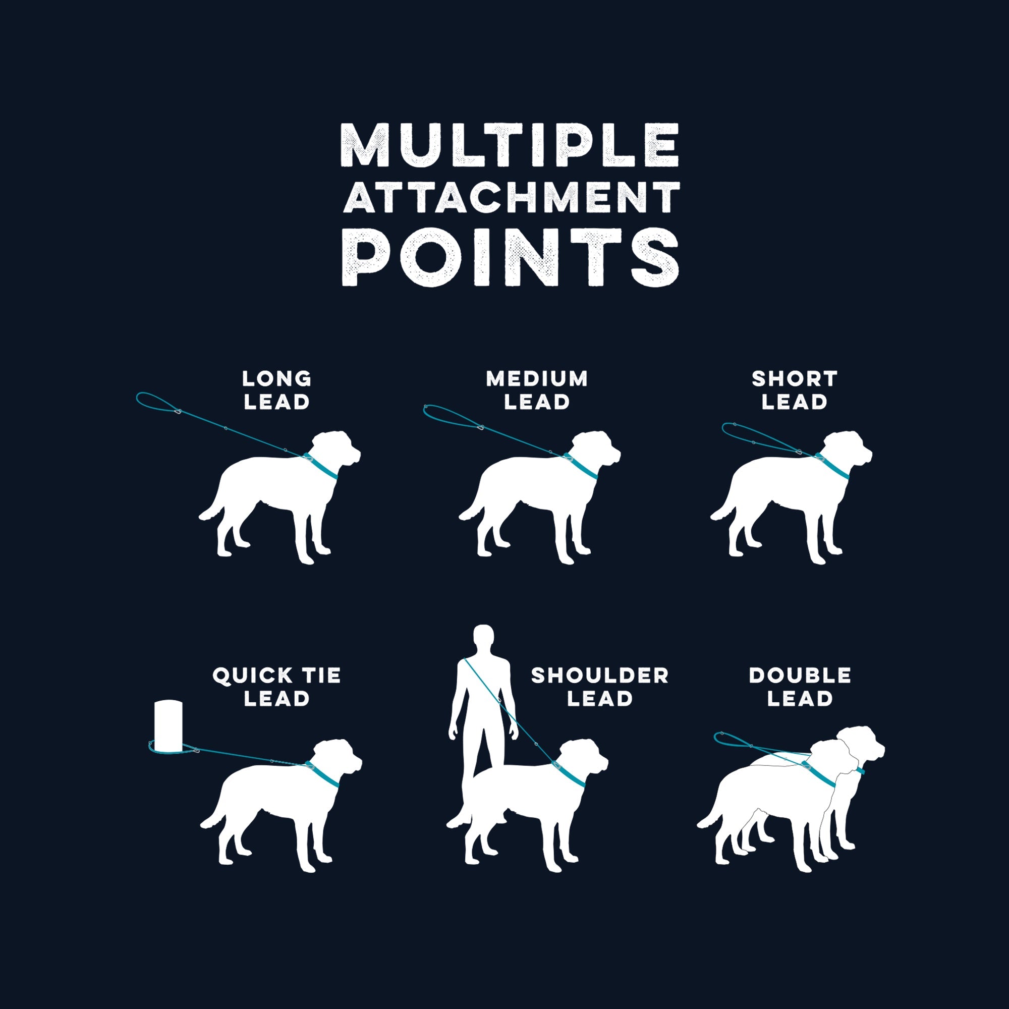 MULTI LEAD