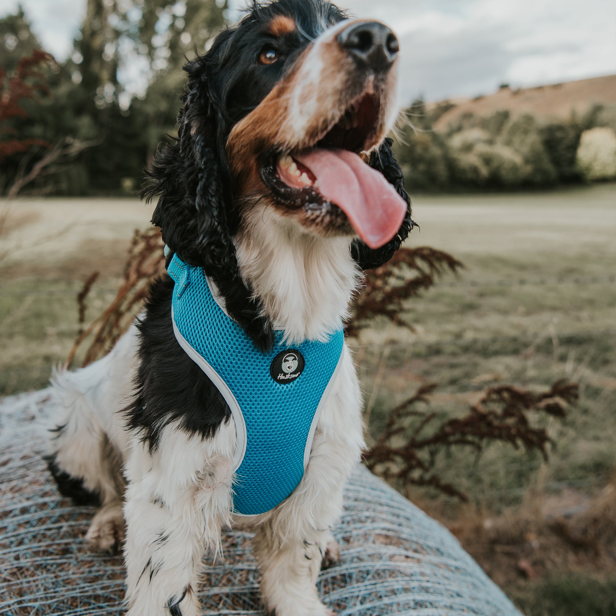 EASYFIT HARNESS