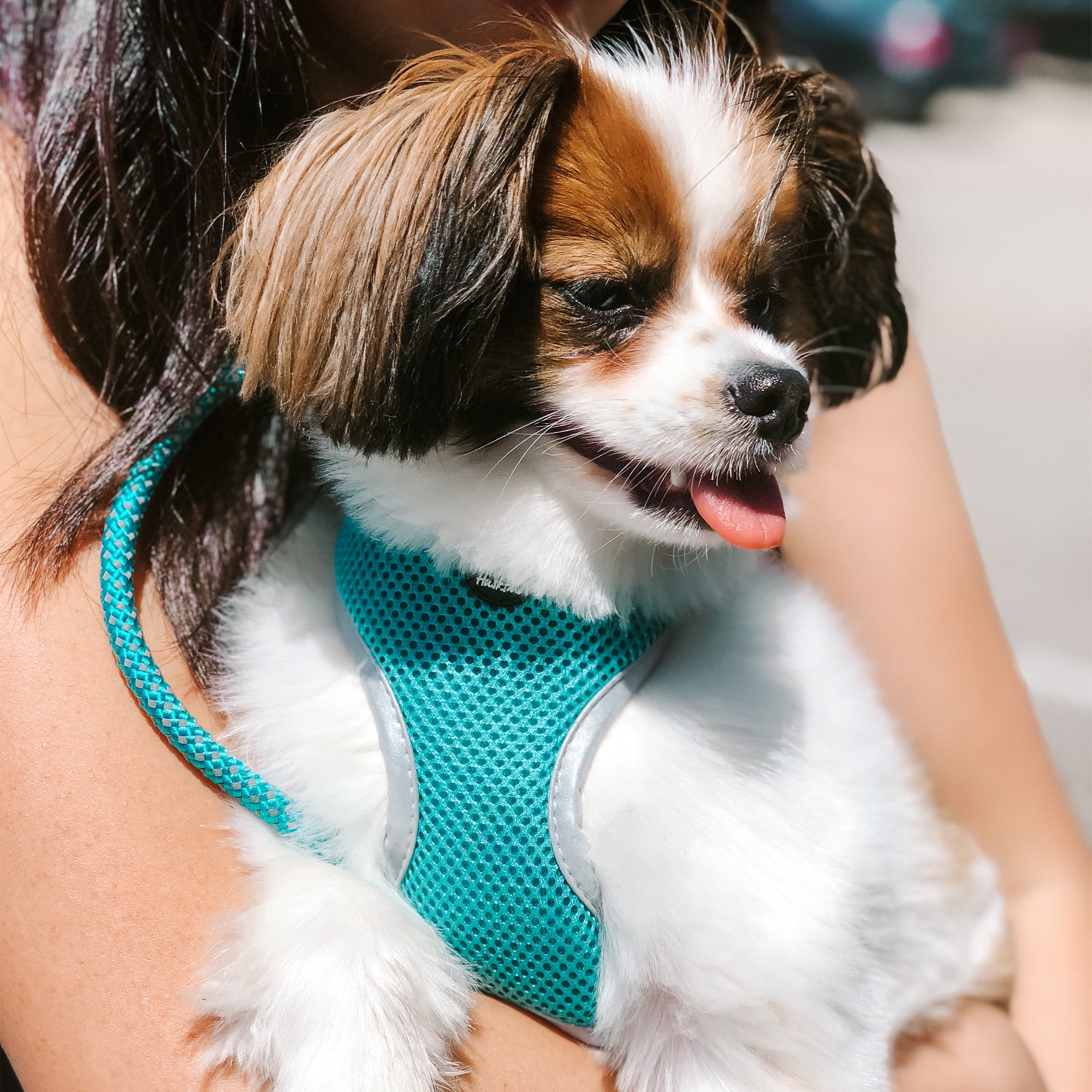 EASYFIT HARNESS