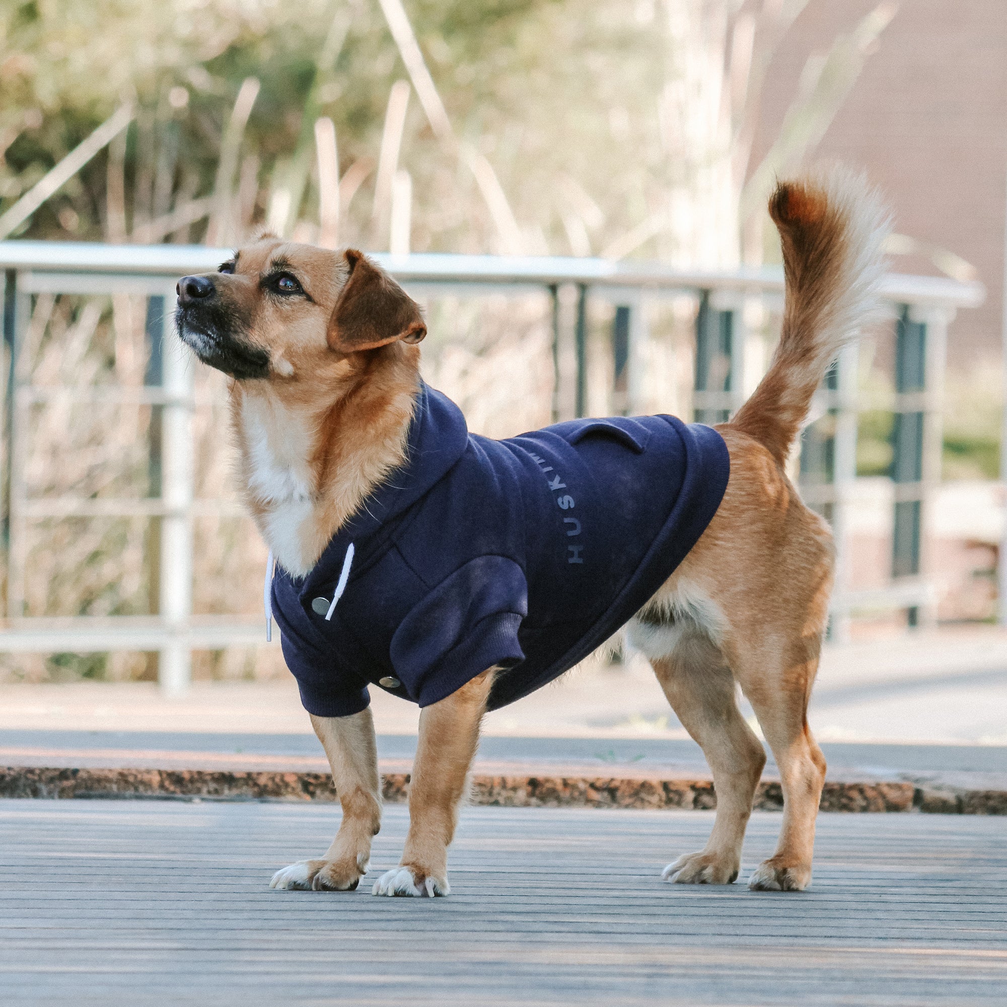 MT BAW BAW HOODIE