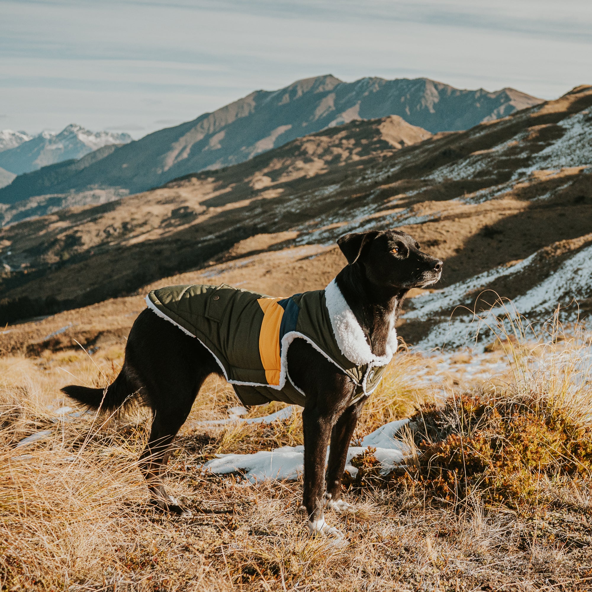 LIGHTNING BOLT COAT