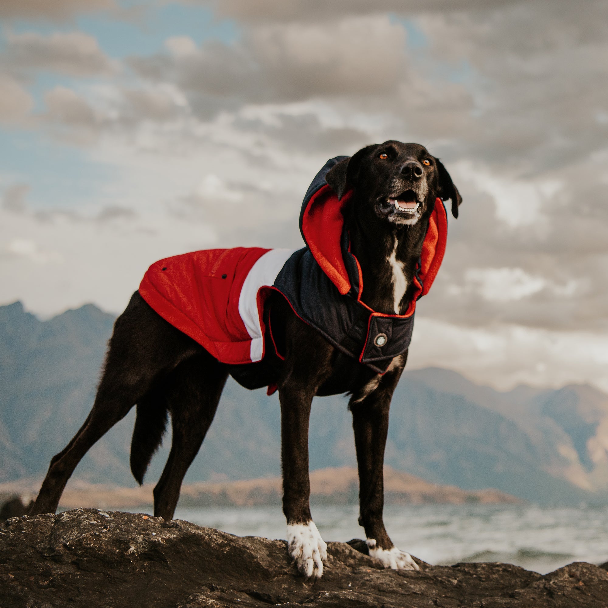 MT BULLER COAT