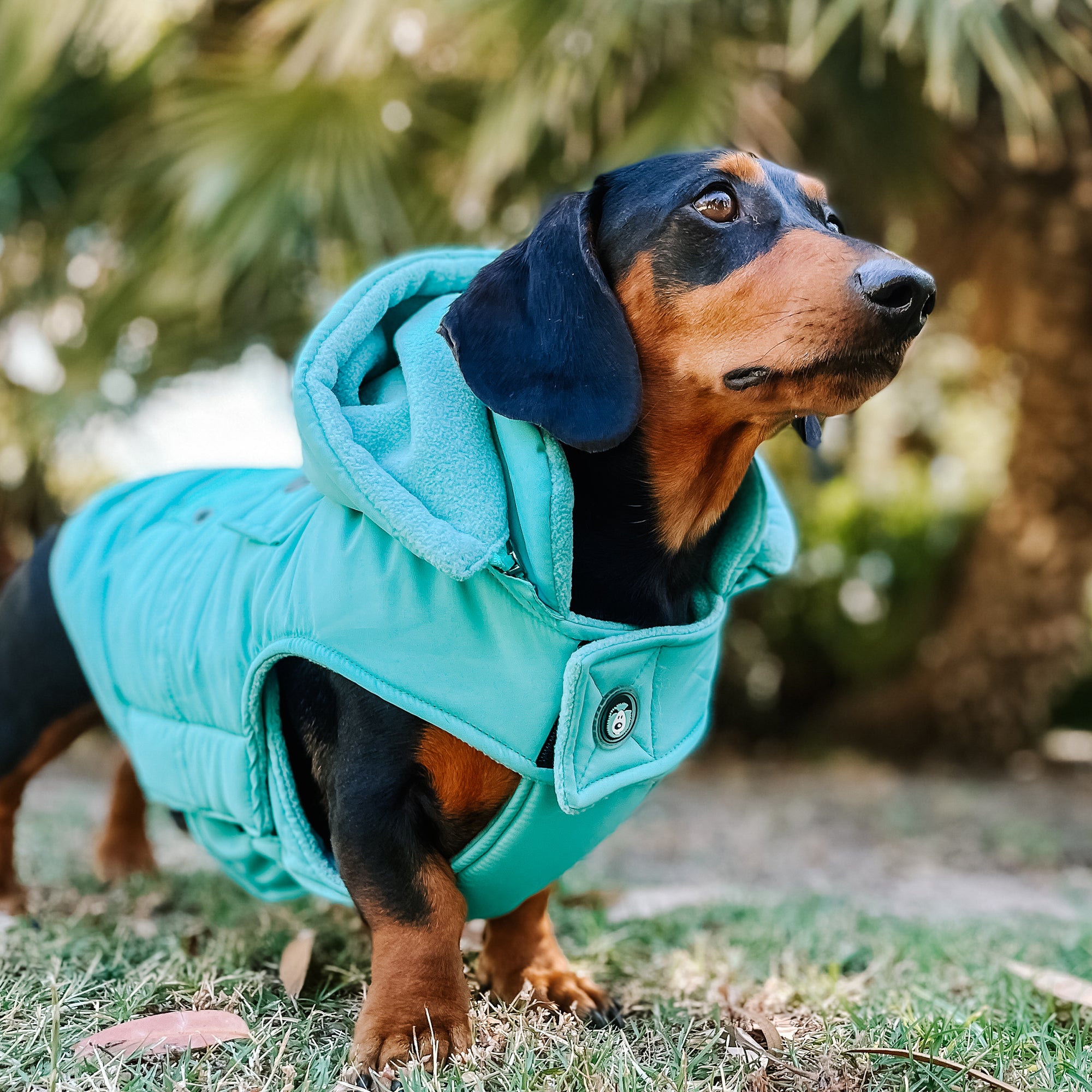MT BULLER COAT