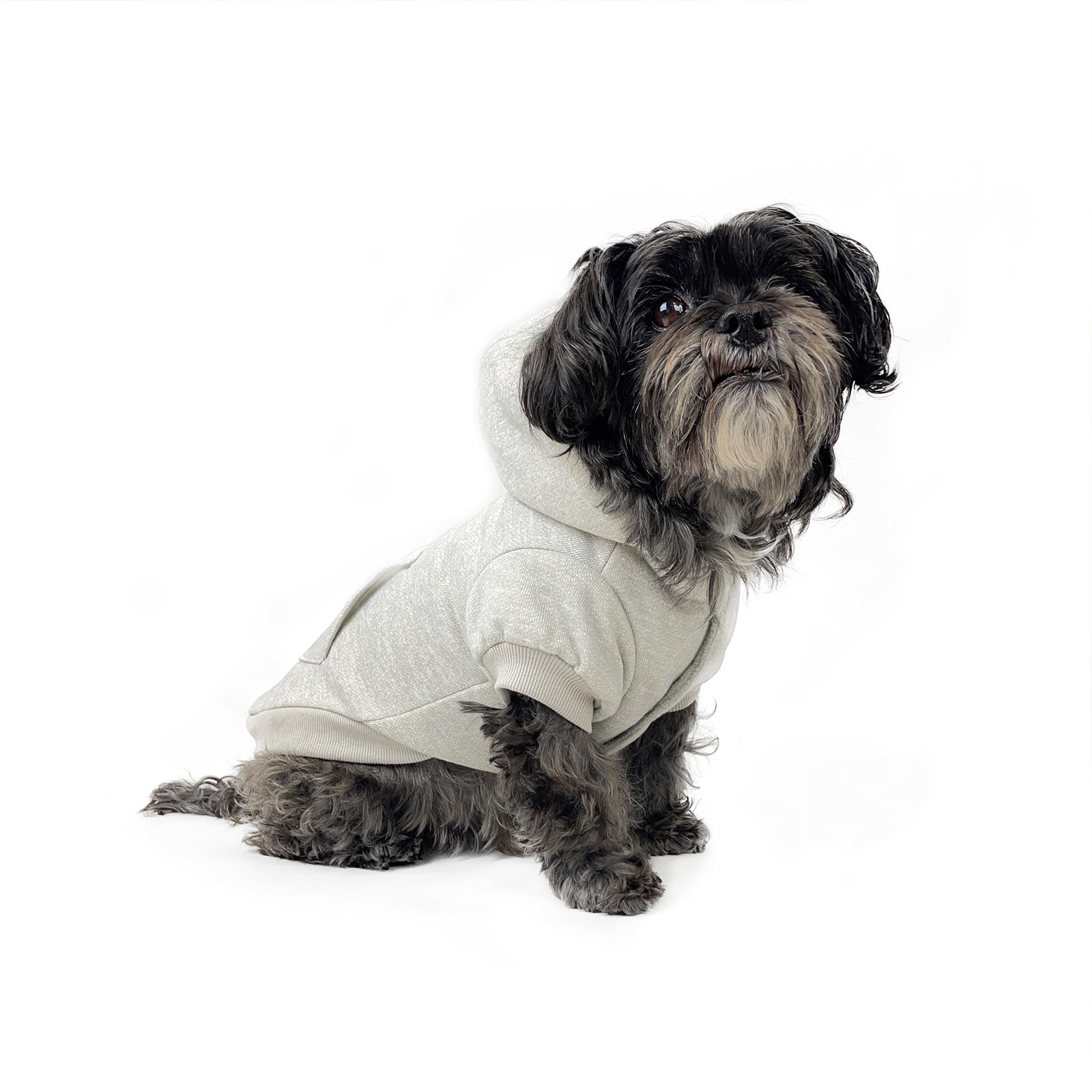 MT SNOWY HOODIE