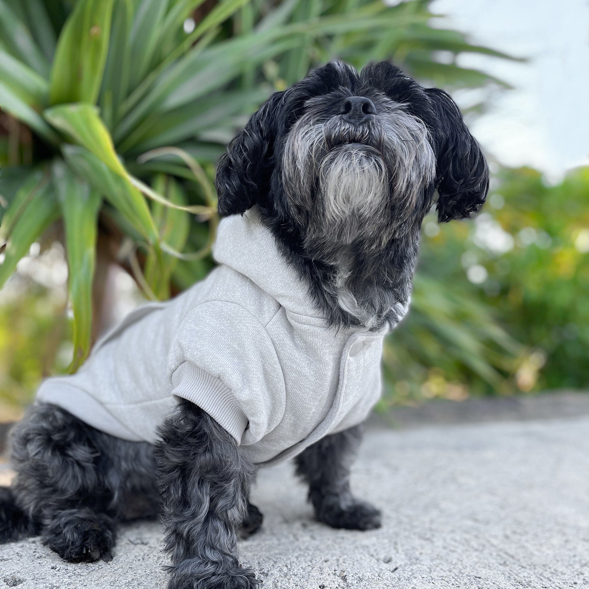 MT SNOWY HOODIE