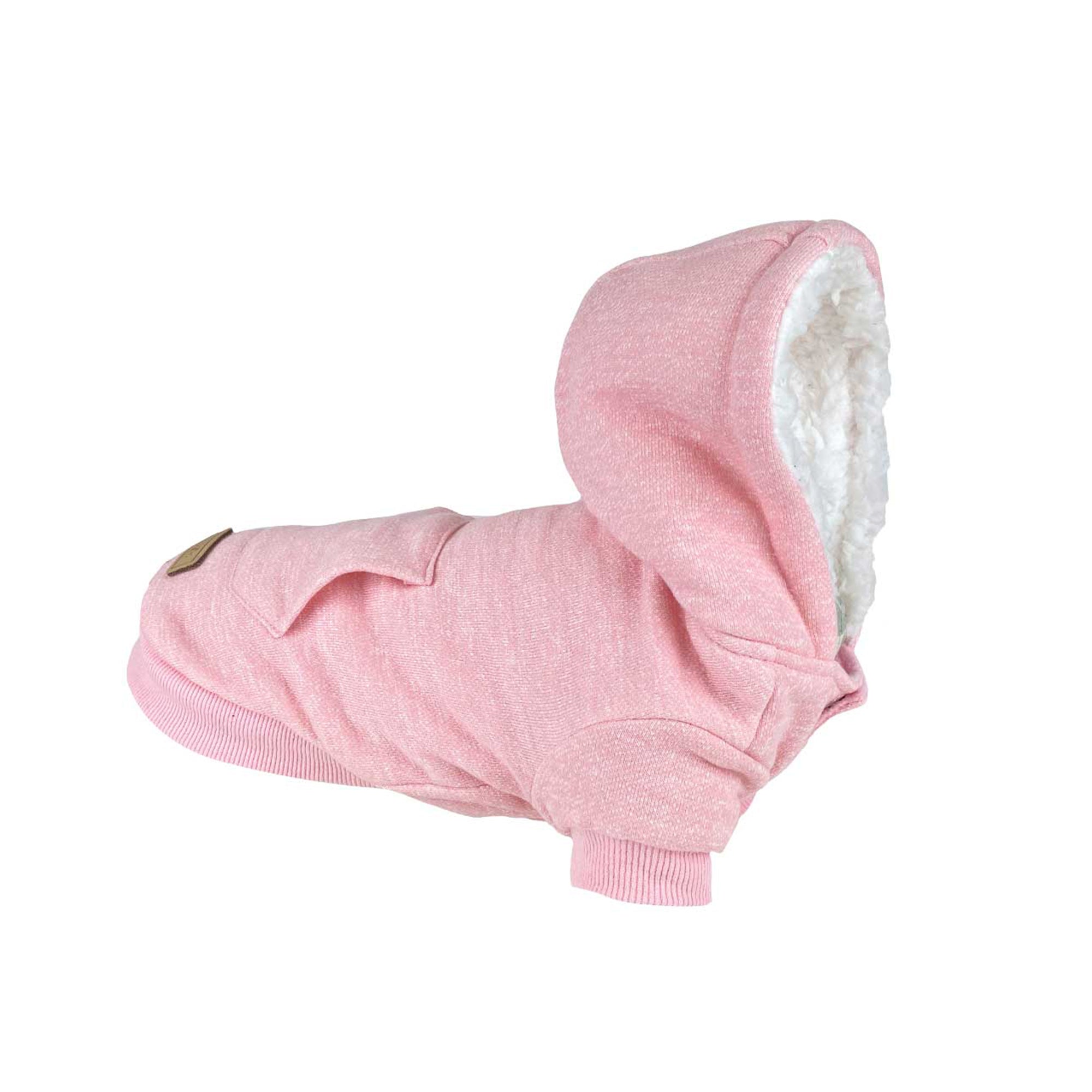 MT SNOWY HOODIE