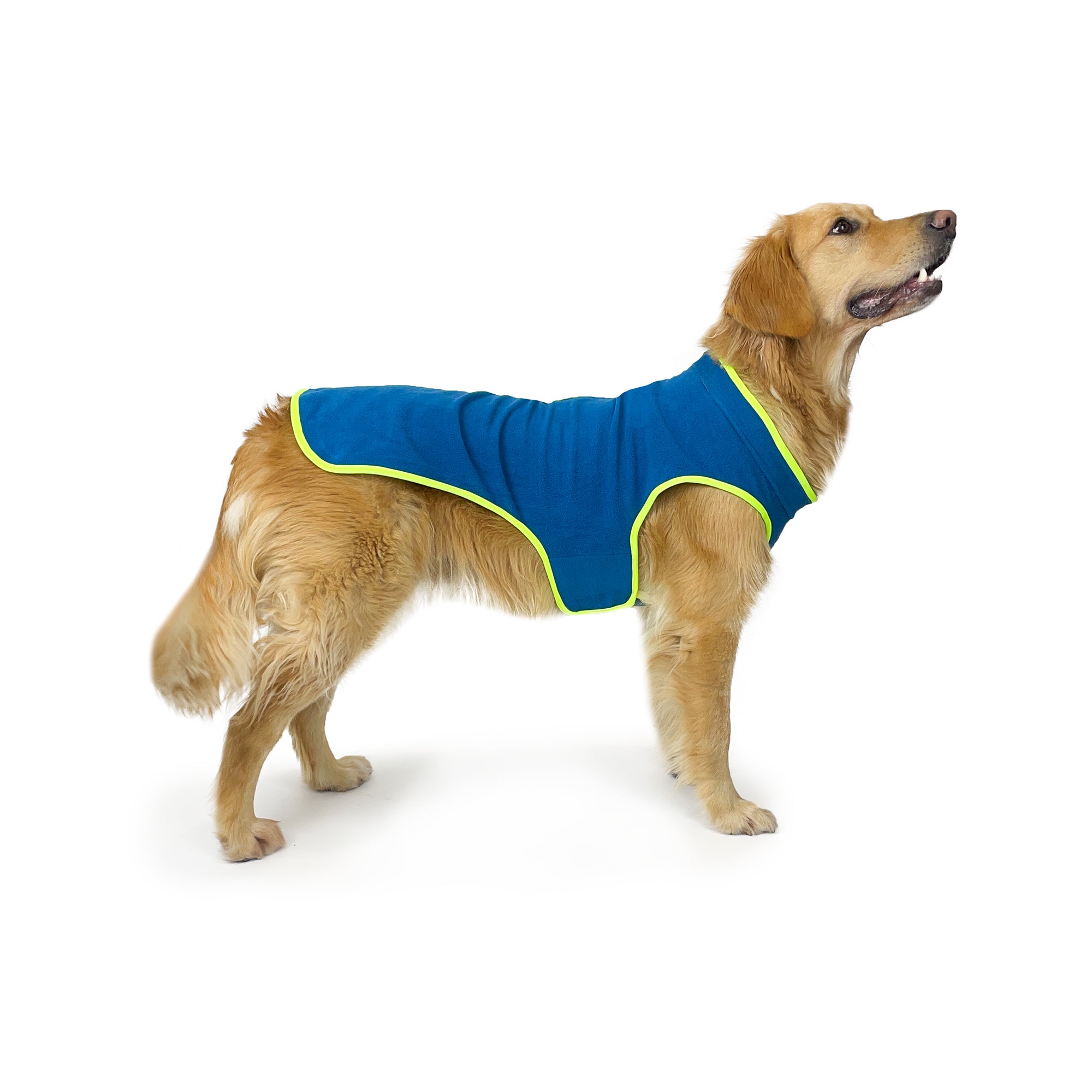 PERISHER DUO JACKET