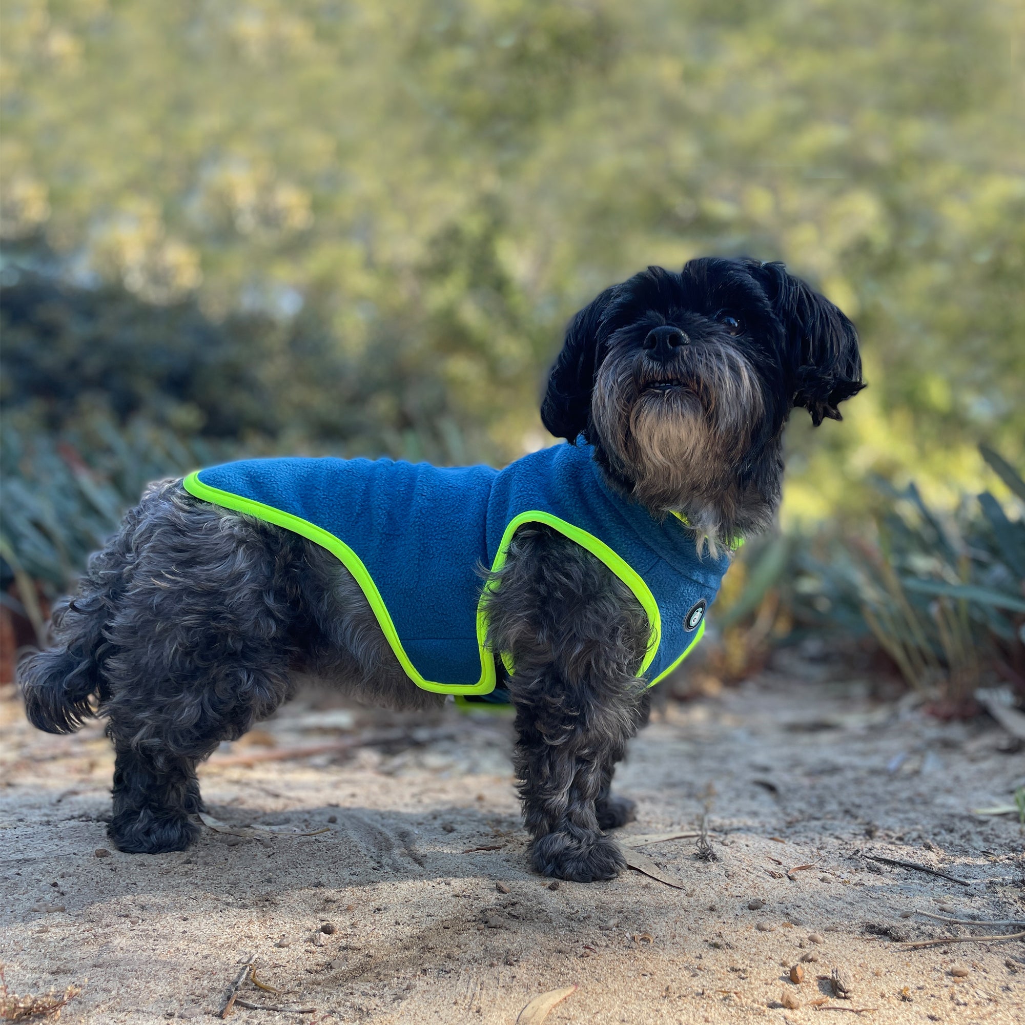 PERISHER DUO JACKET
