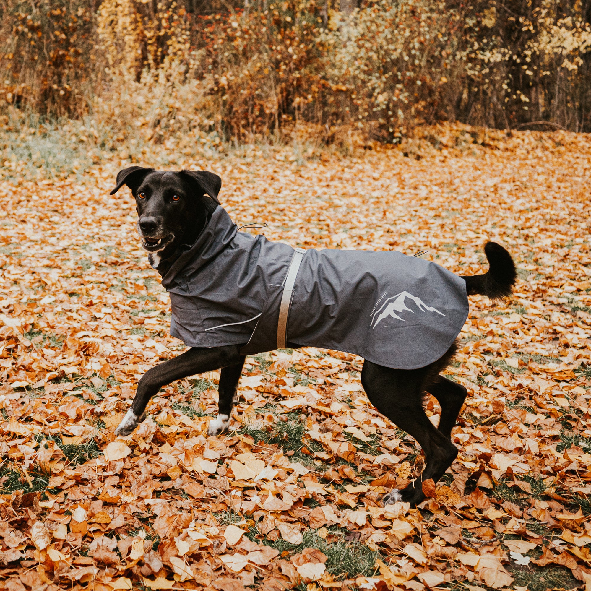 PEAK RAINCOAT
