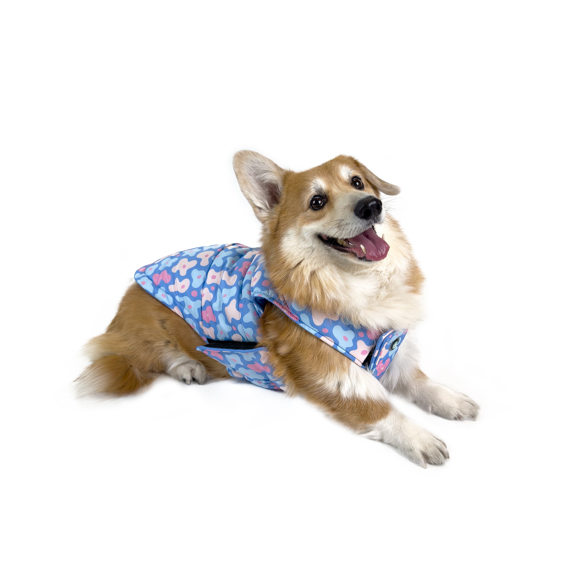 REVERSIBLE COAT