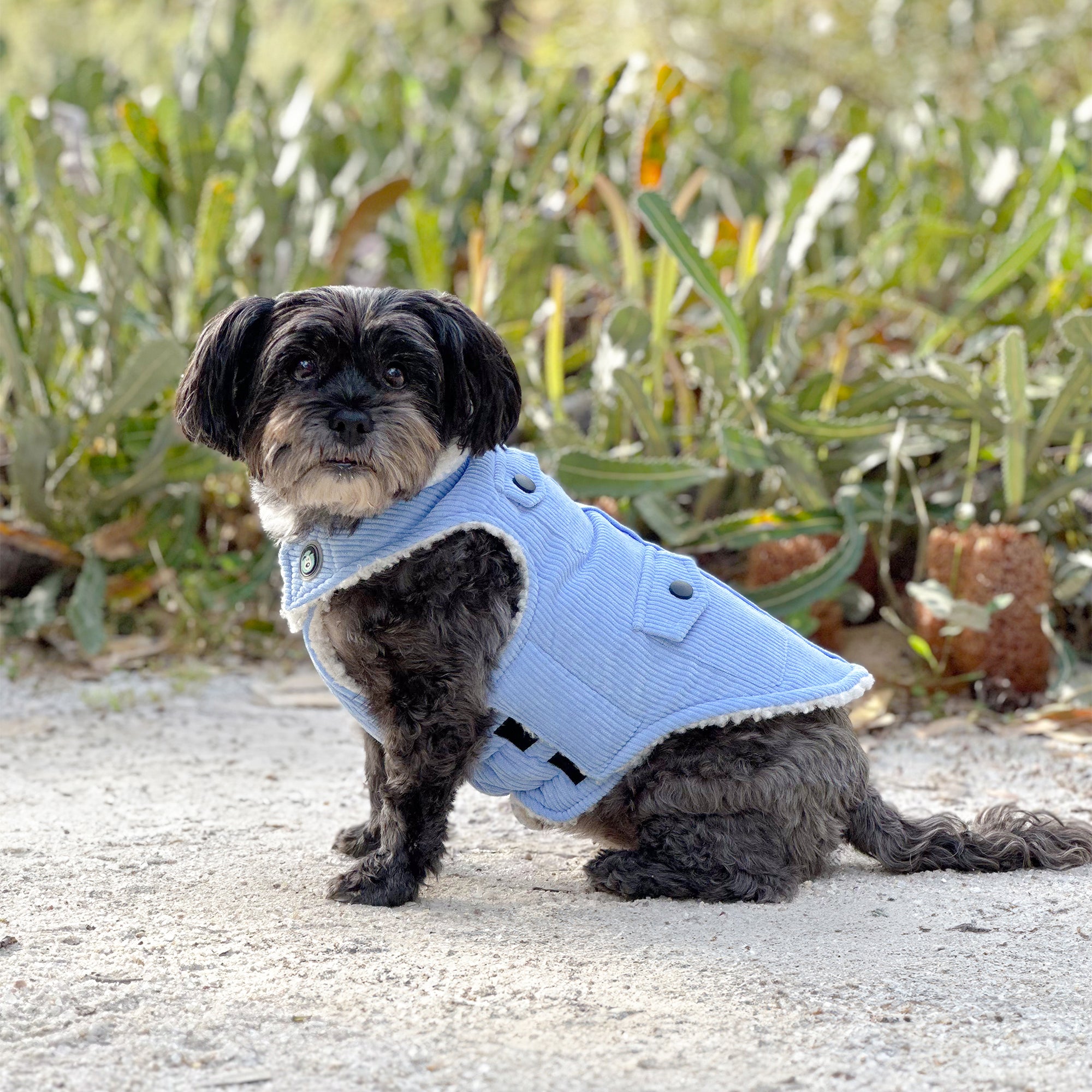 SURFER JACKET