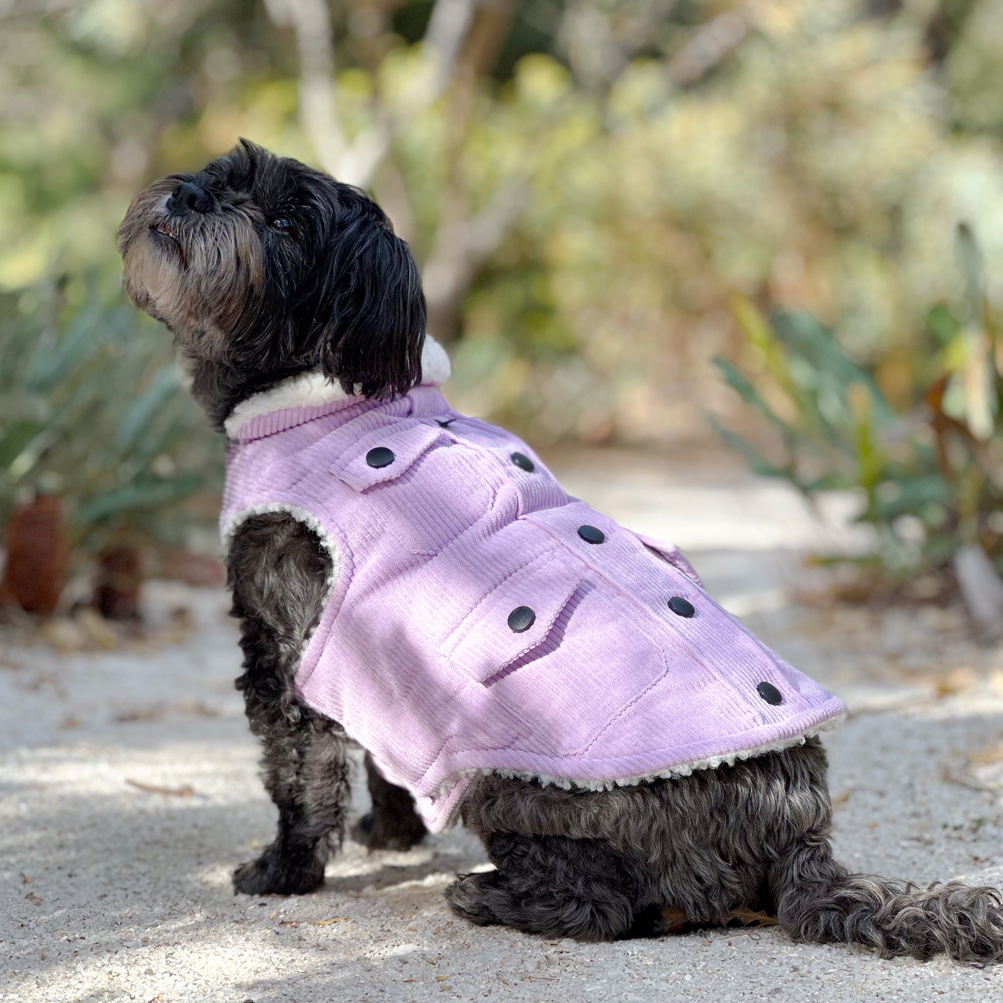 SURFER JACKET