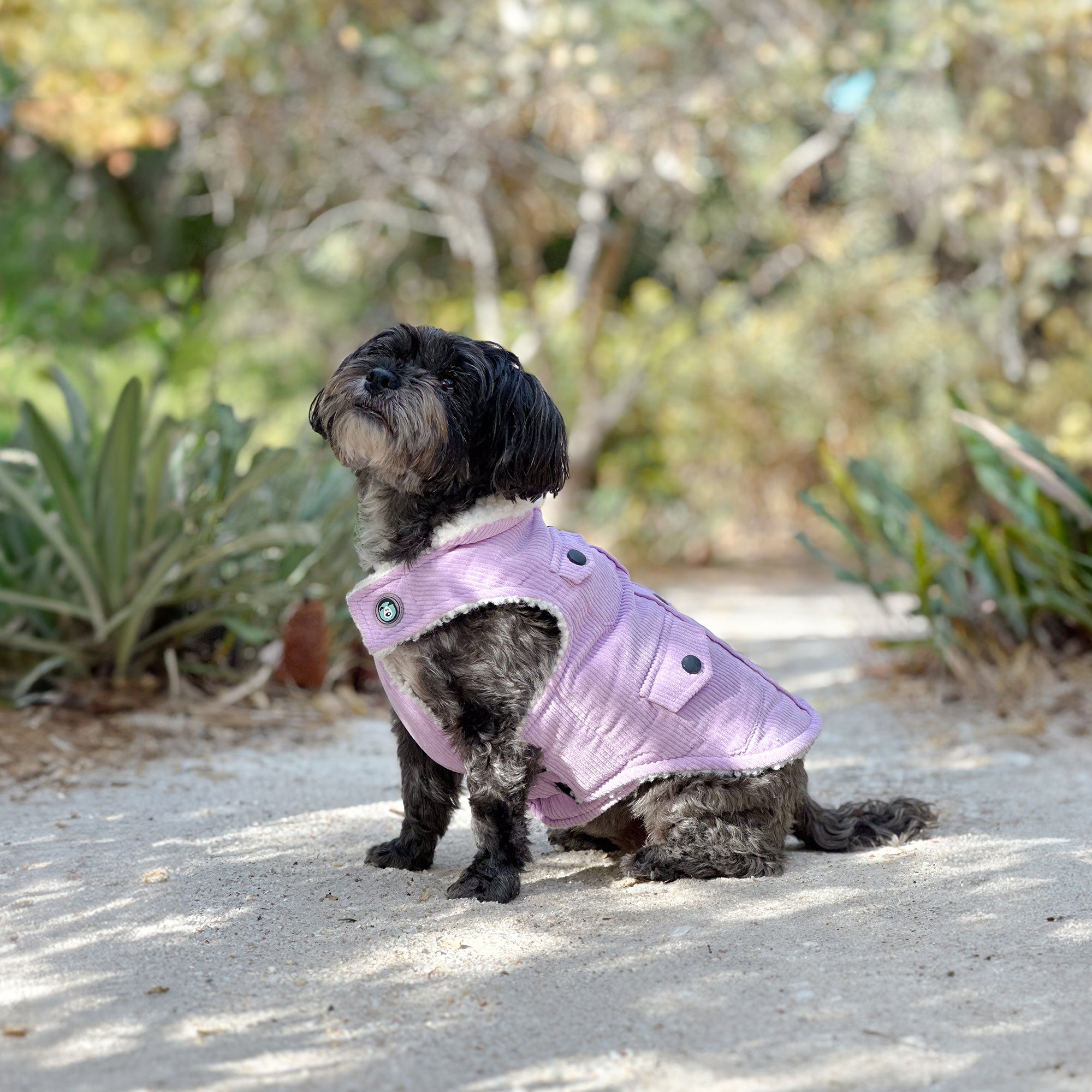 SURFER JACKET