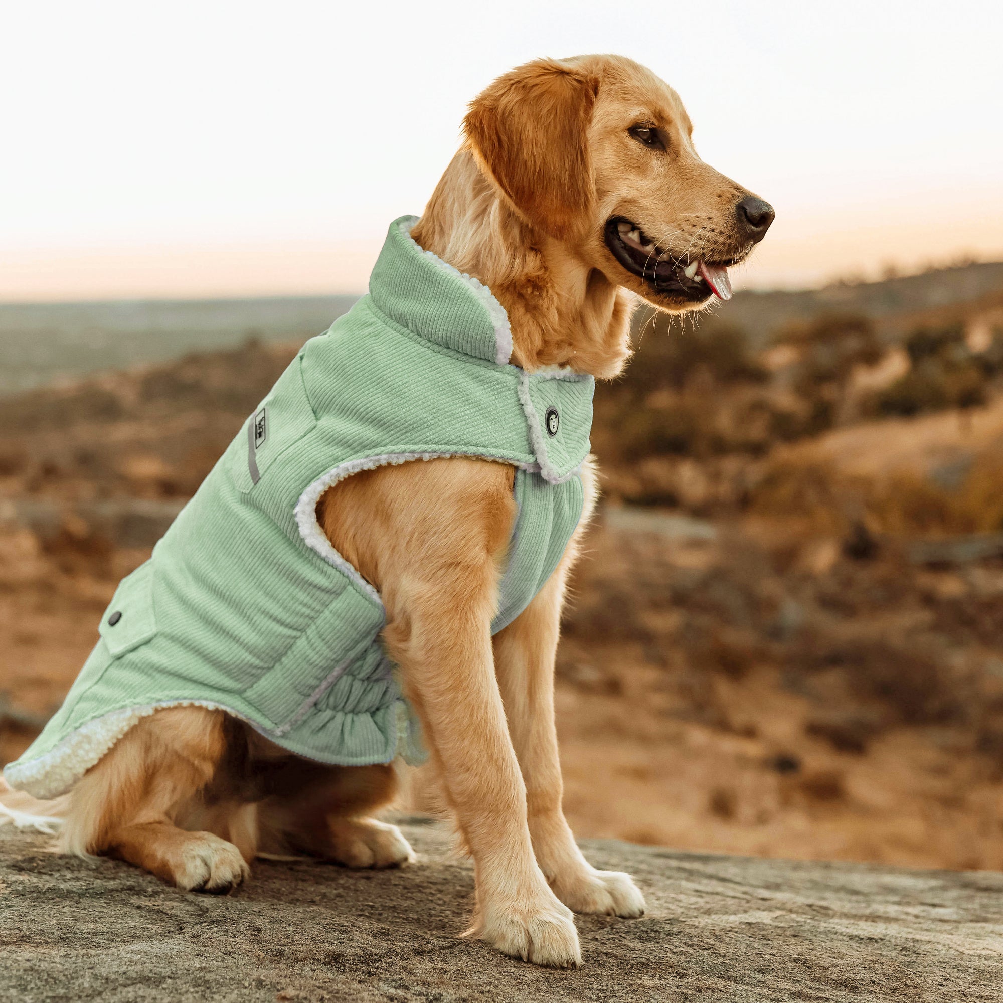 SURFER JACKET