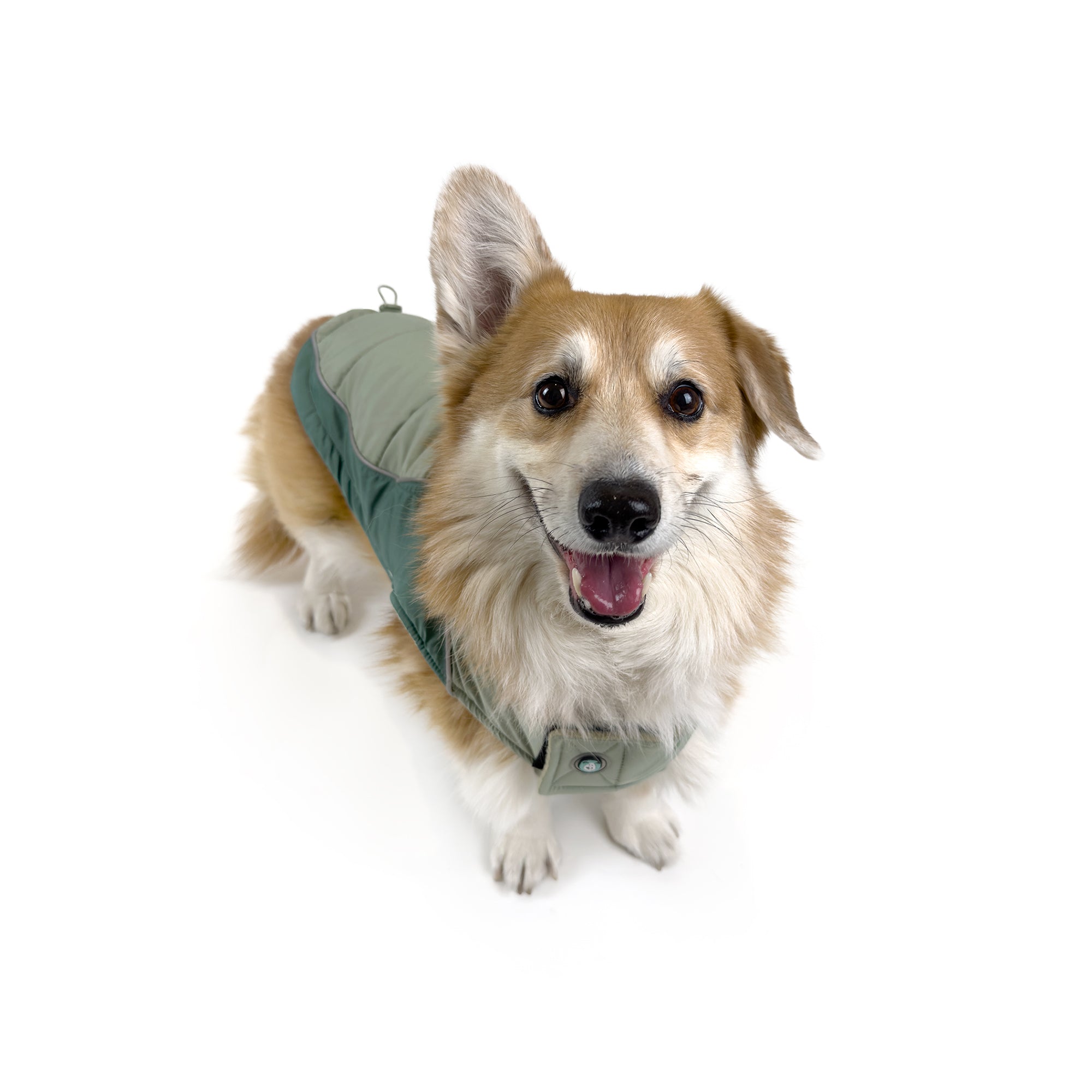SHERPA COAT