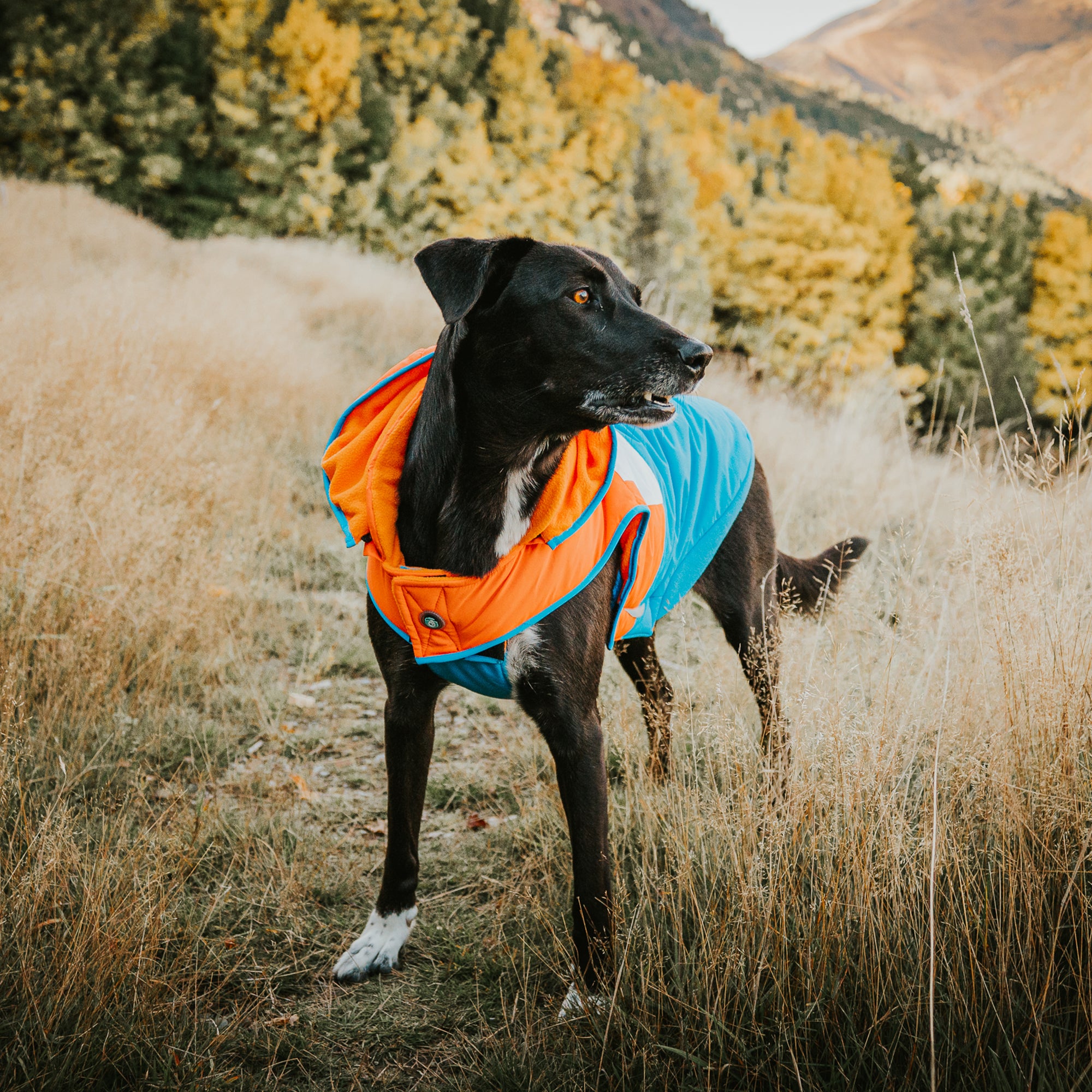 SNOWPARKA COAT