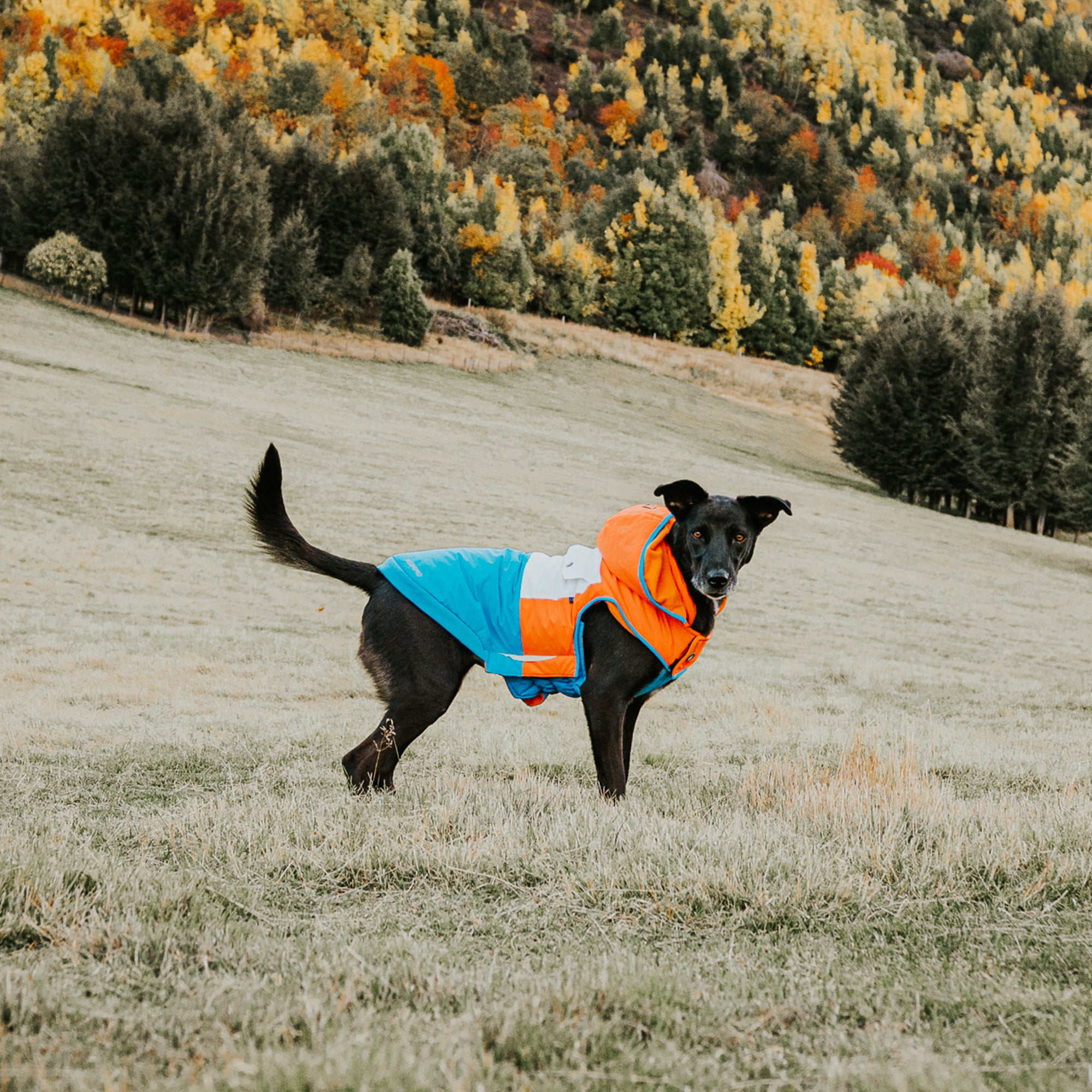 SNOWPARKA COAT