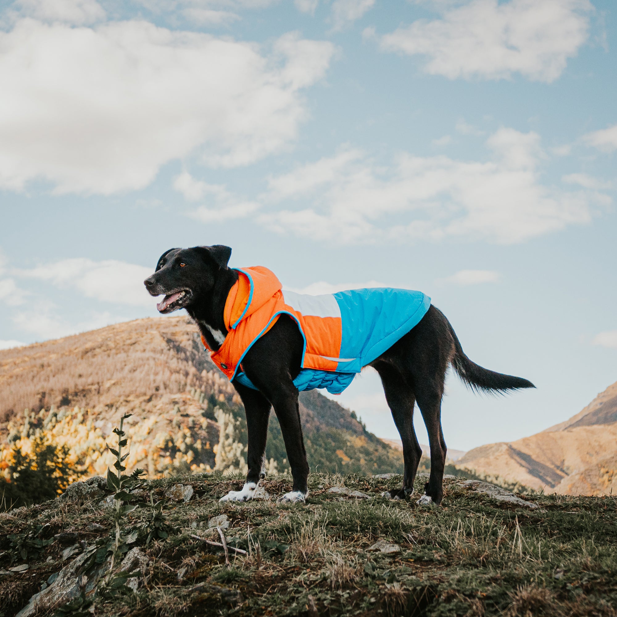SNOWPARKA COAT