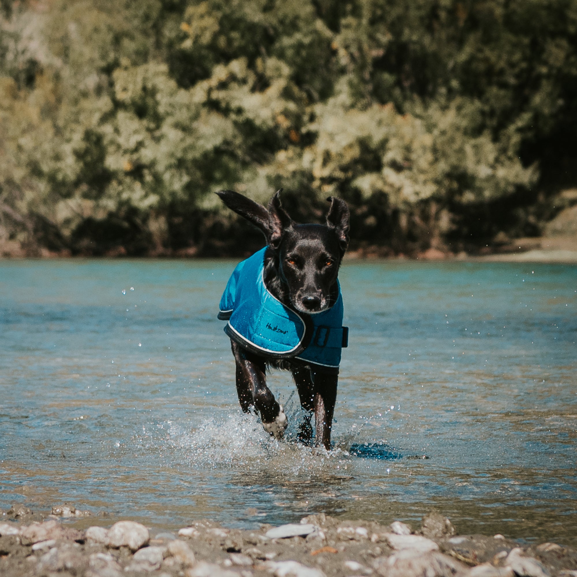 SUMMIT PRO COAT