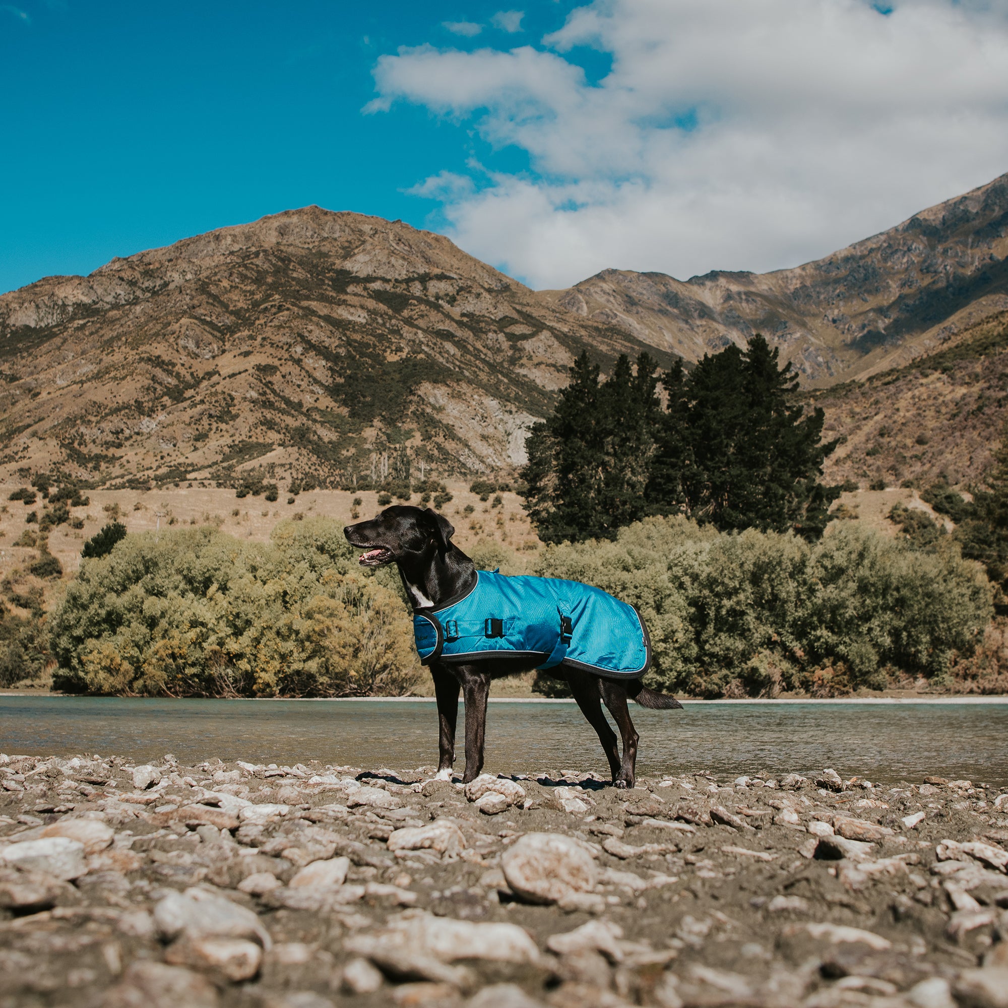 SUMMIT PRO COAT