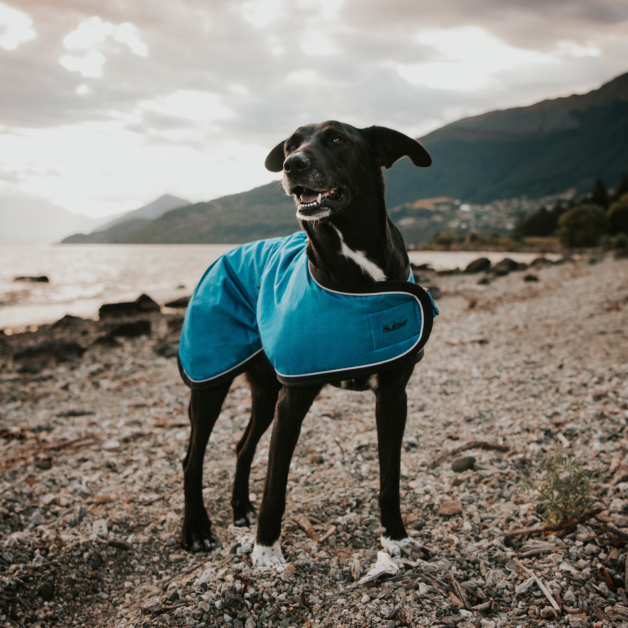 SUMMIT PRO COAT