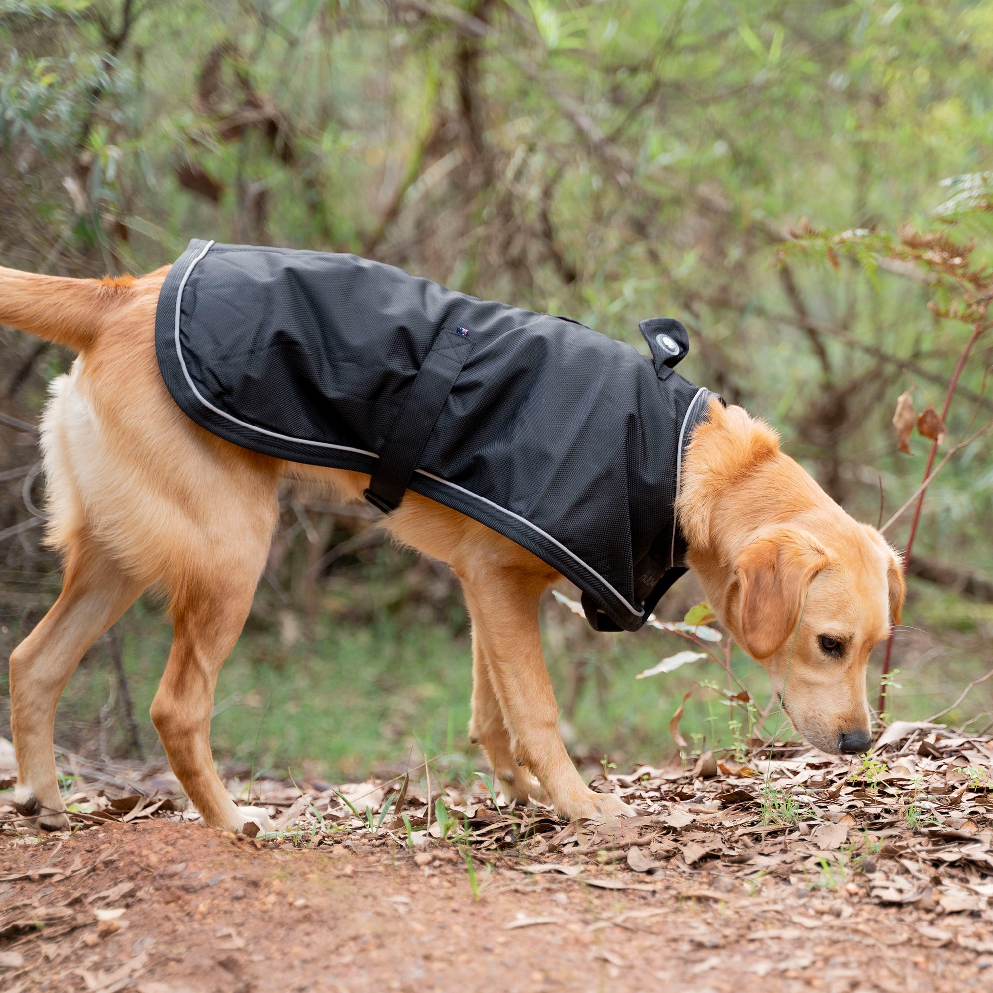 SUMMIT PRO COAT