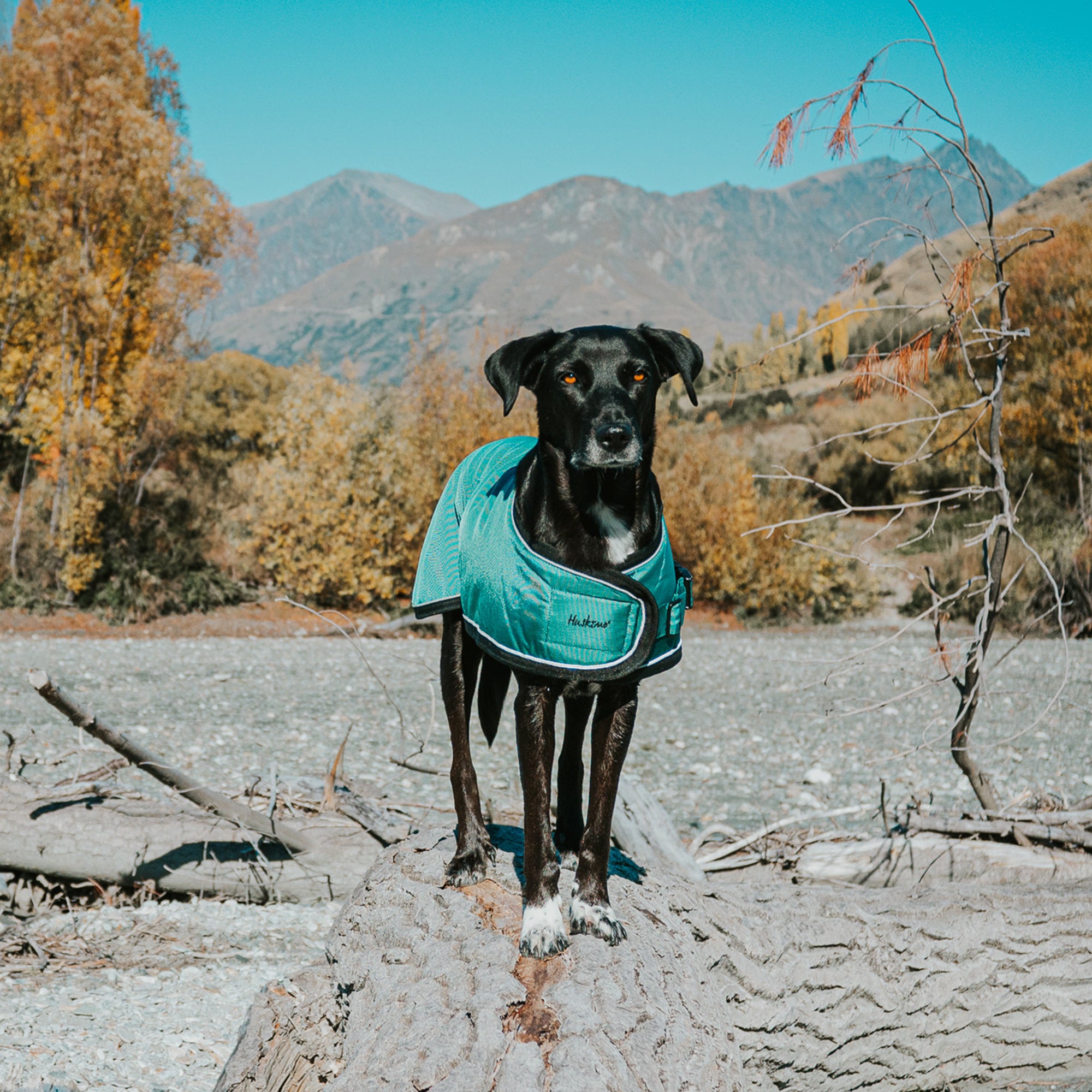SUMMIT PRO COAT