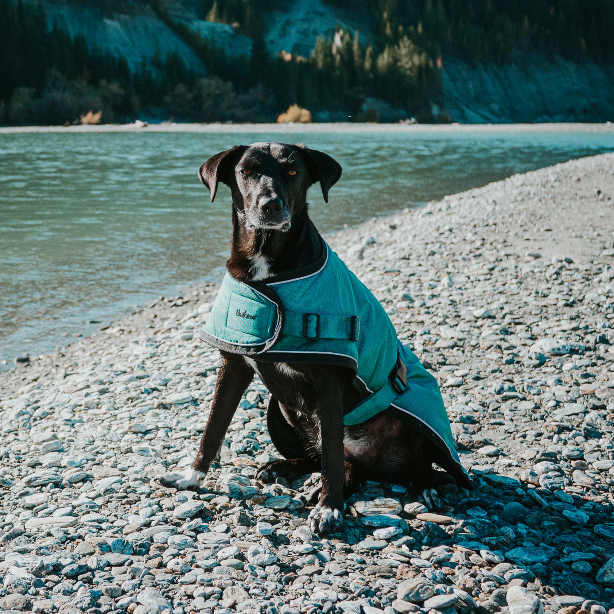 SUMMIT PRO COAT