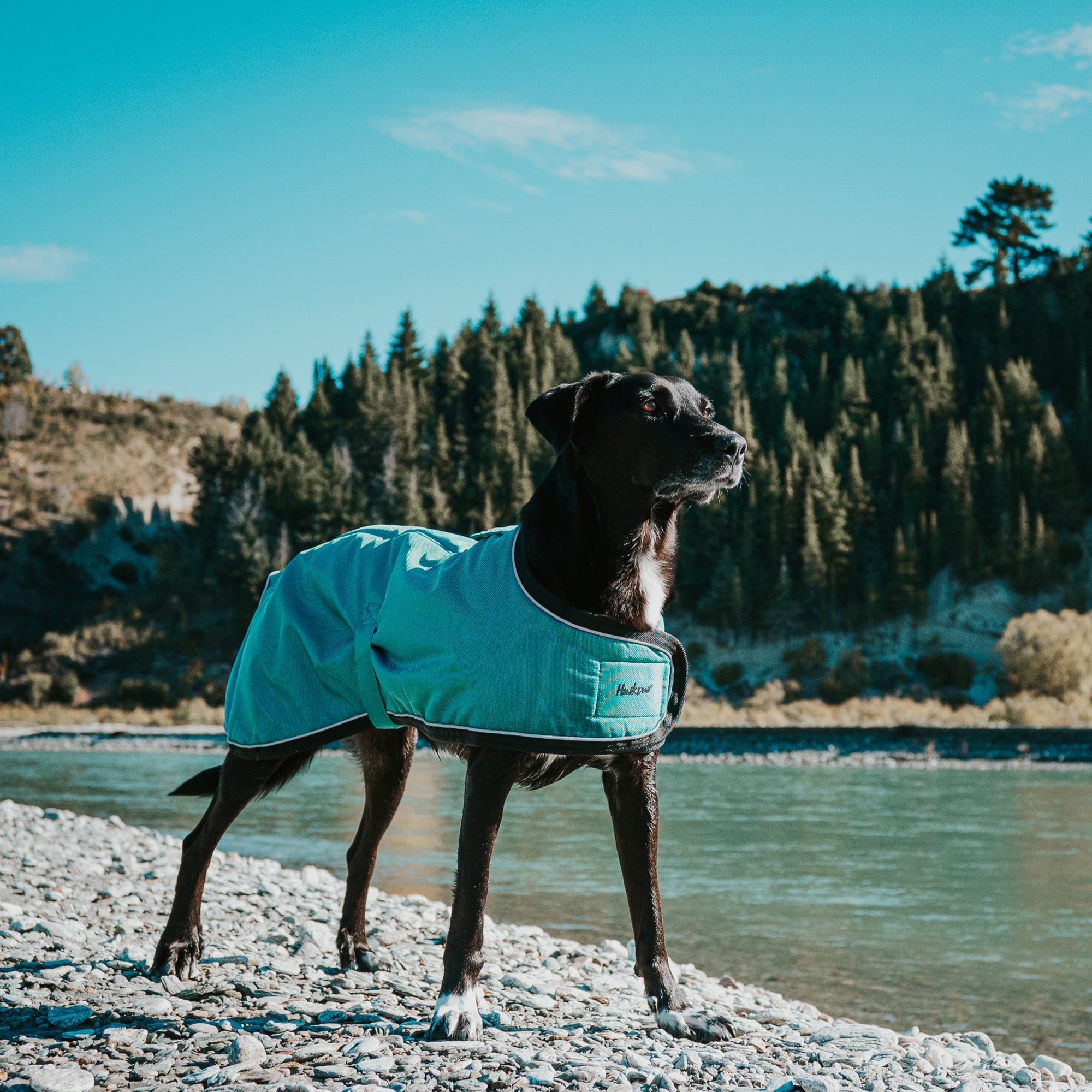 SUMMIT PRO COAT