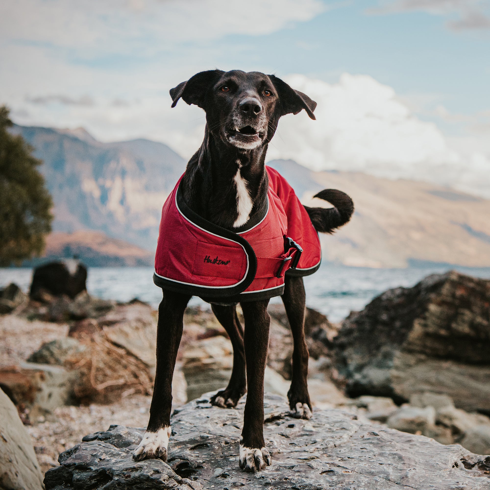 SUMMIT PRO COAT
