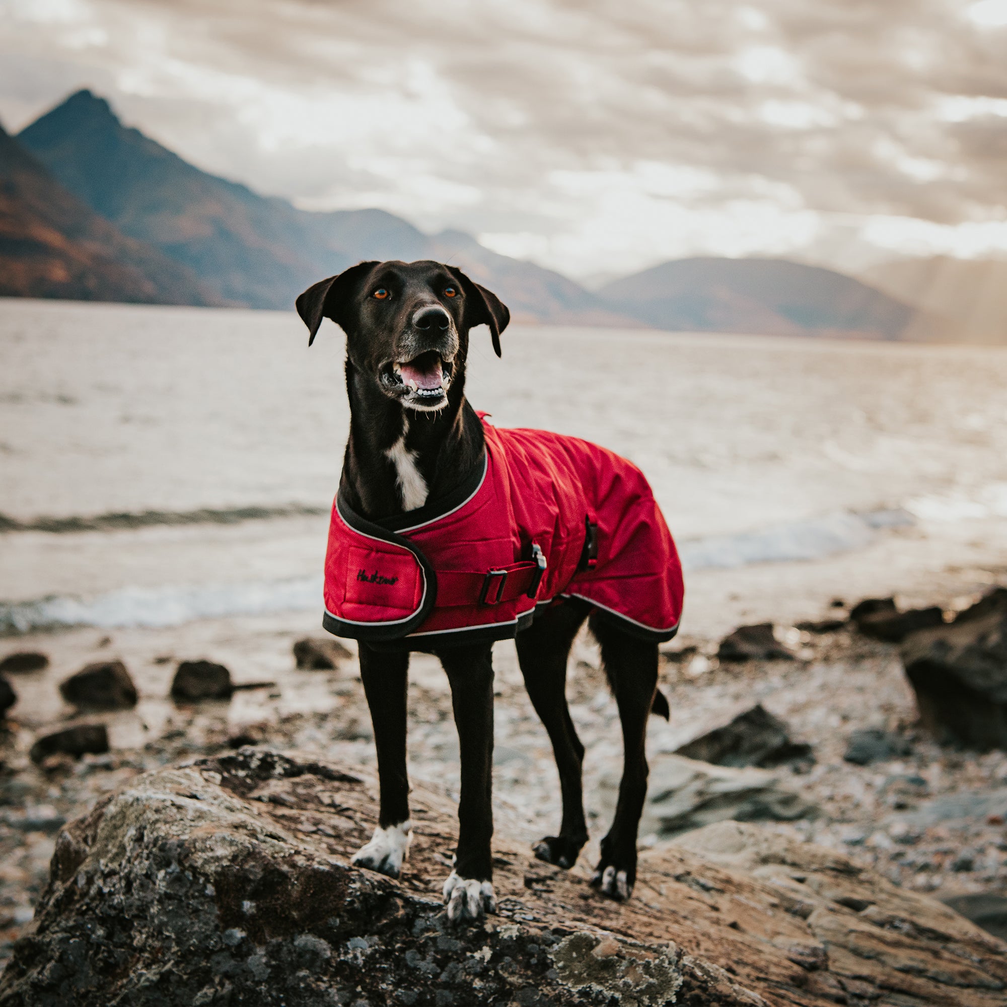 SUMMIT PRO COAT