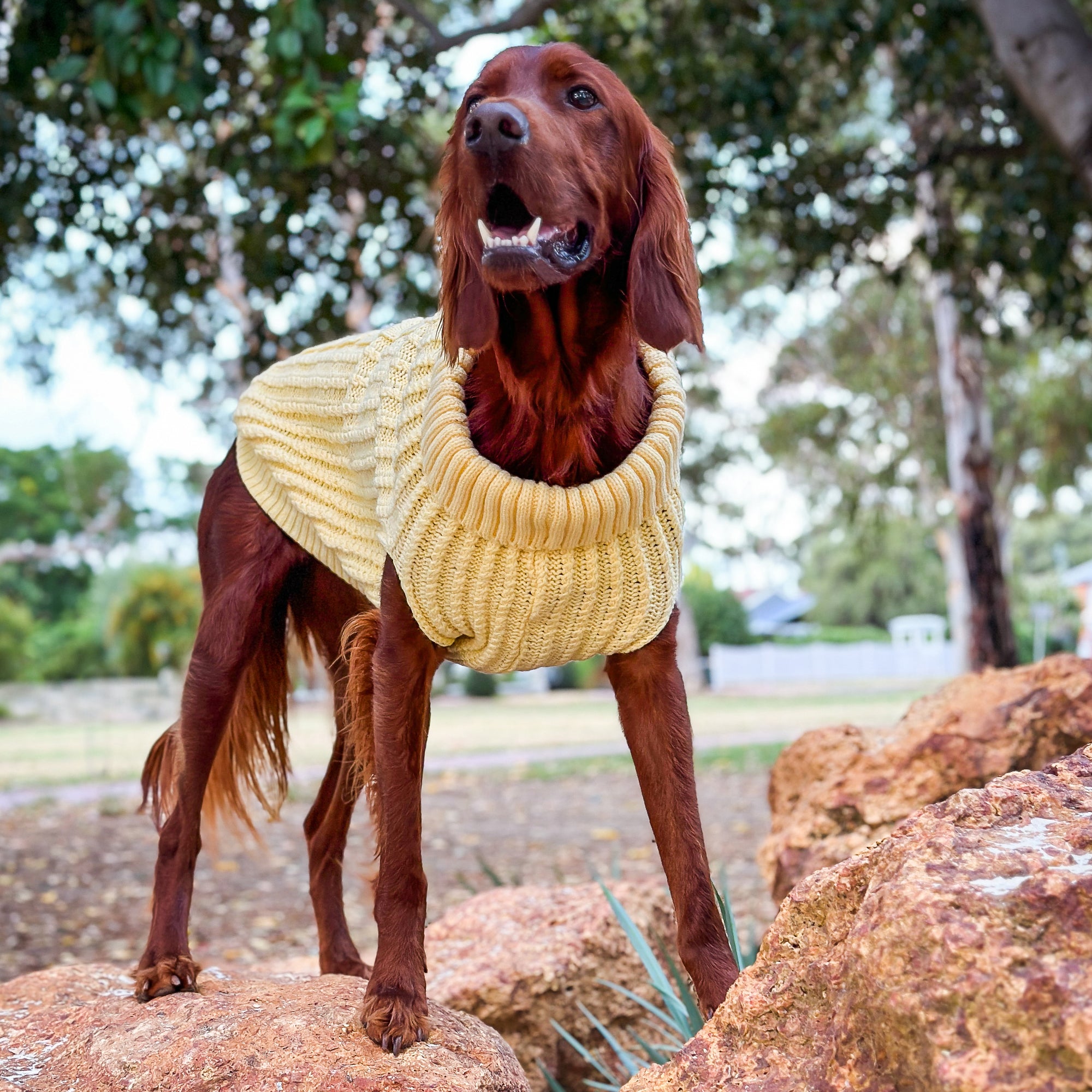 CALI KNIT JUMPER