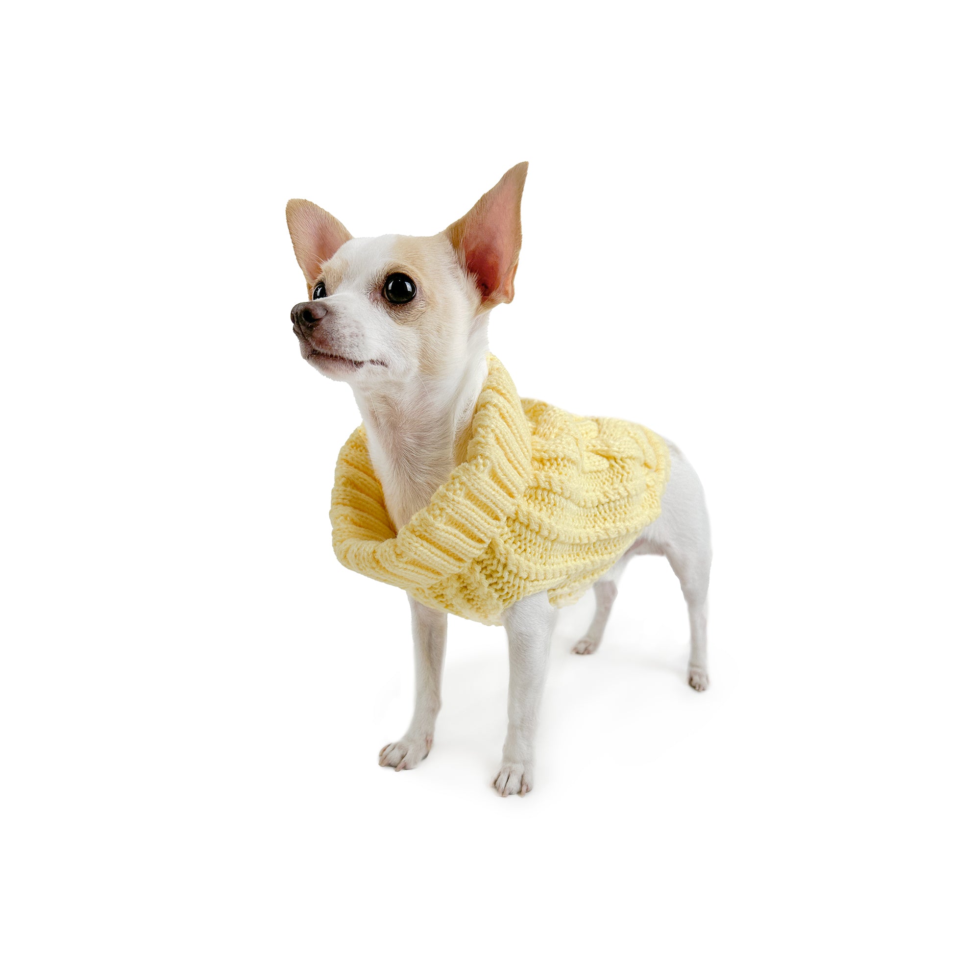 CALI KNIT JUMPER