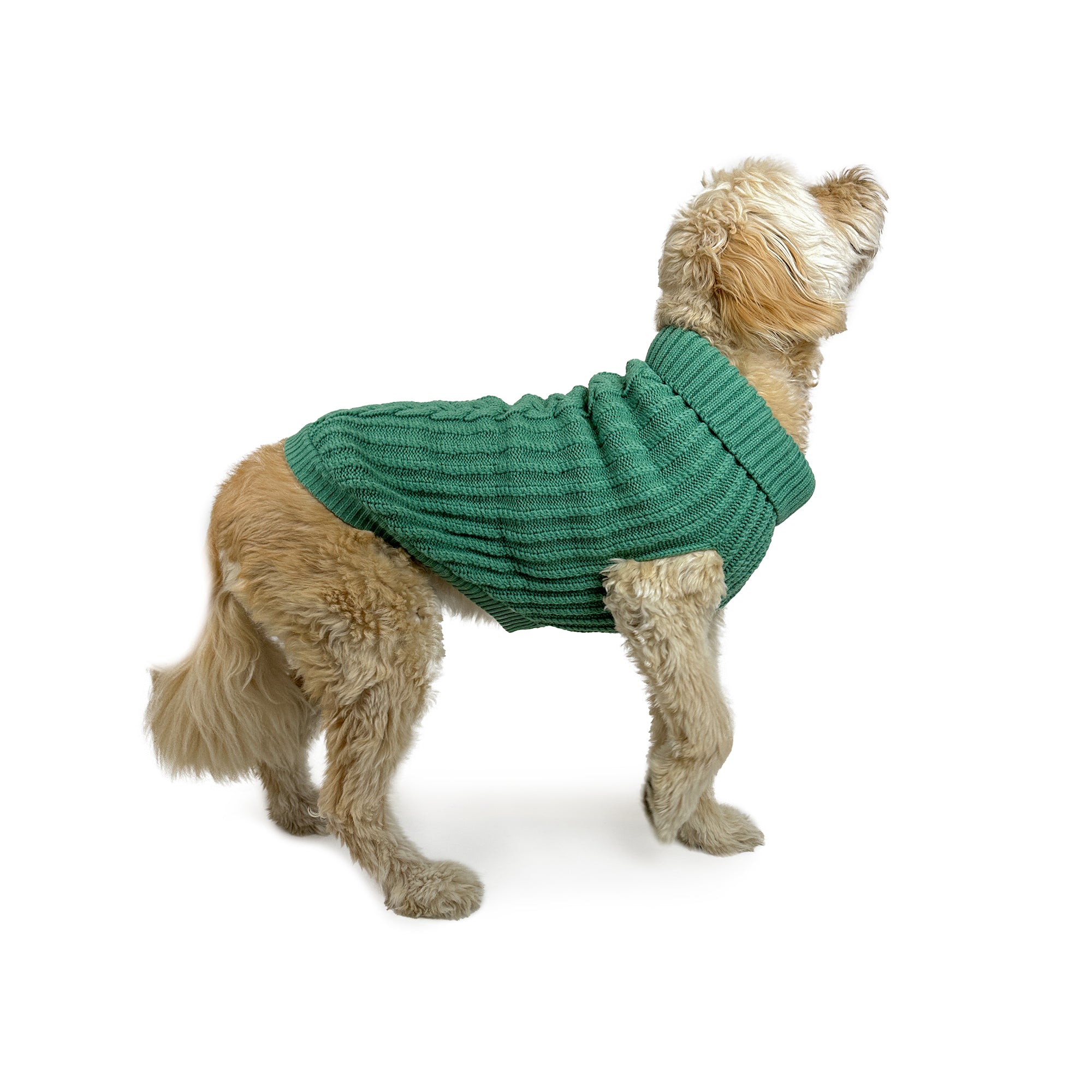 CALI KNIT JUMPER
