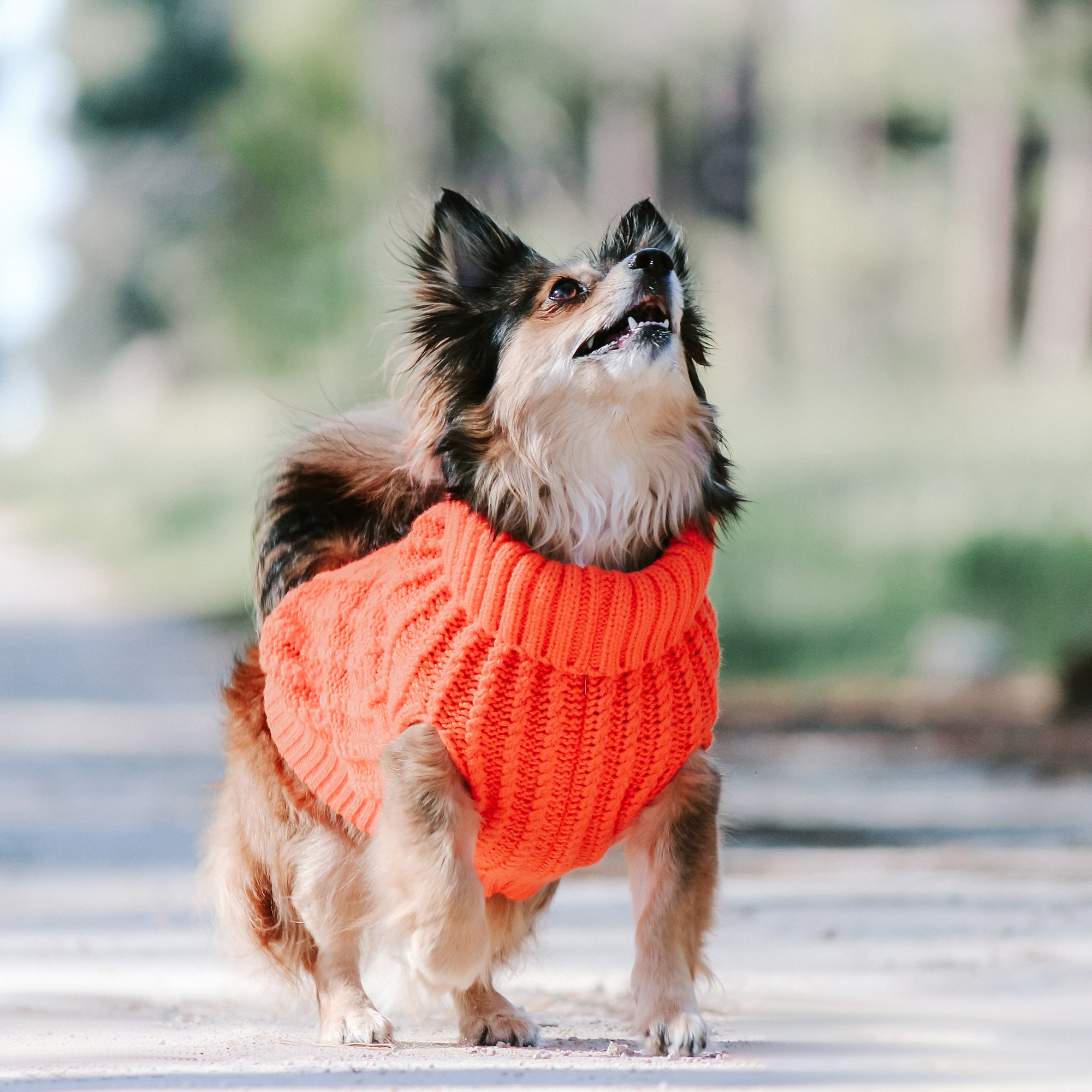 CALI KNIT JUMPER