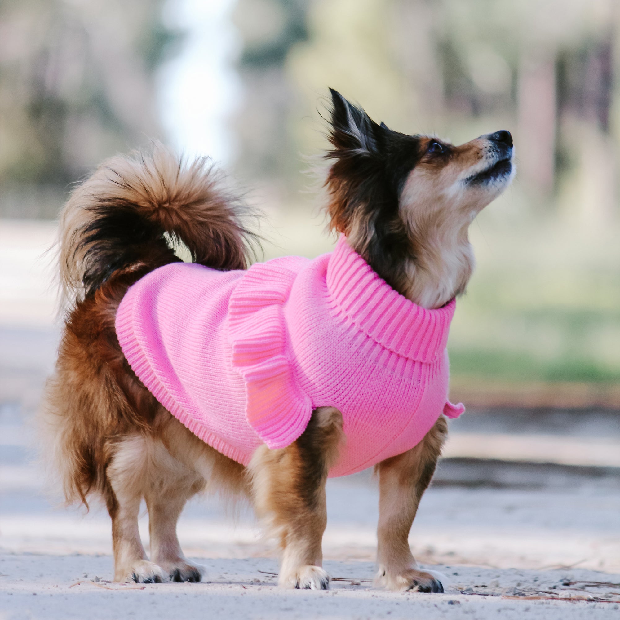 FRILL KNIT JUMPER