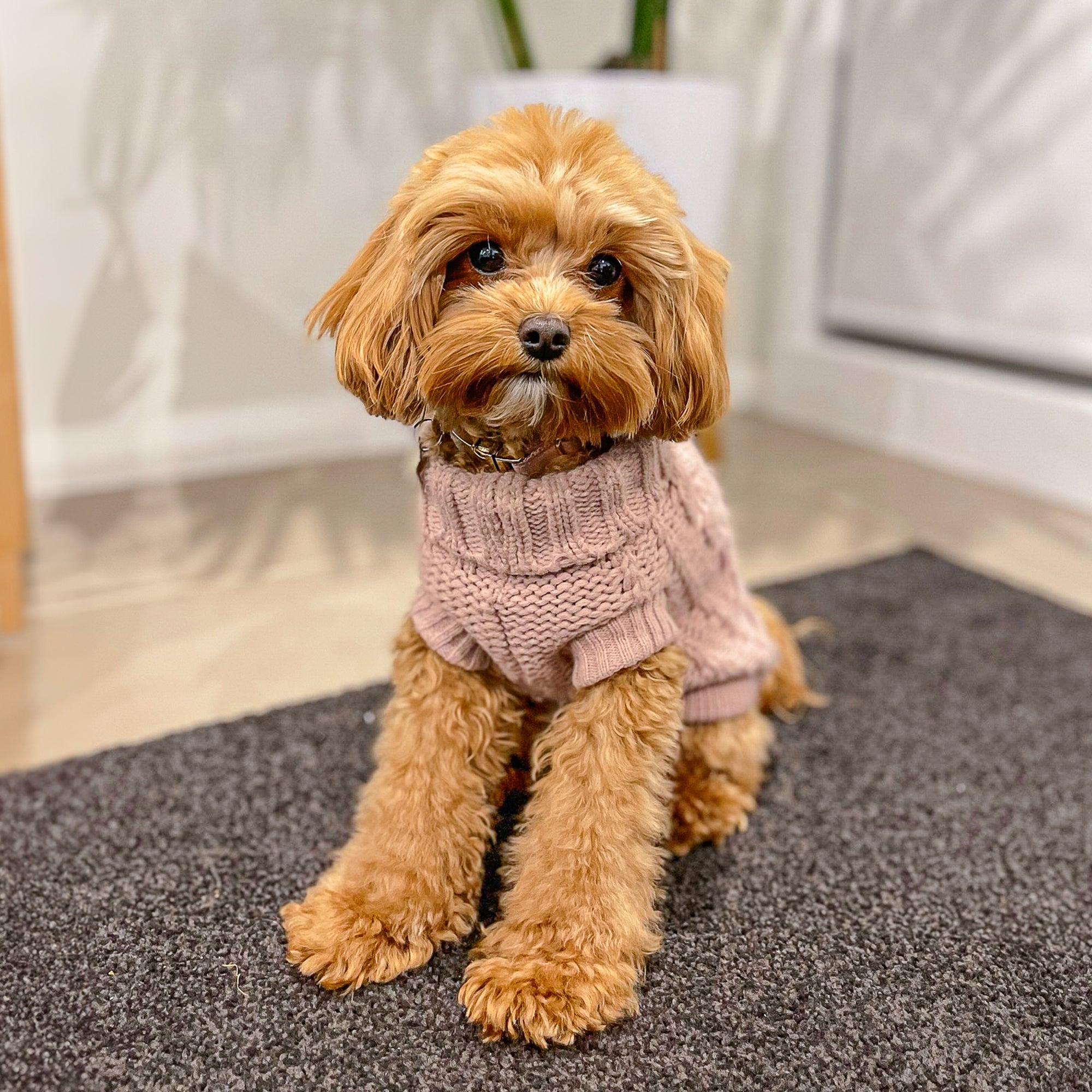 FRENCH KNIT JUMPER