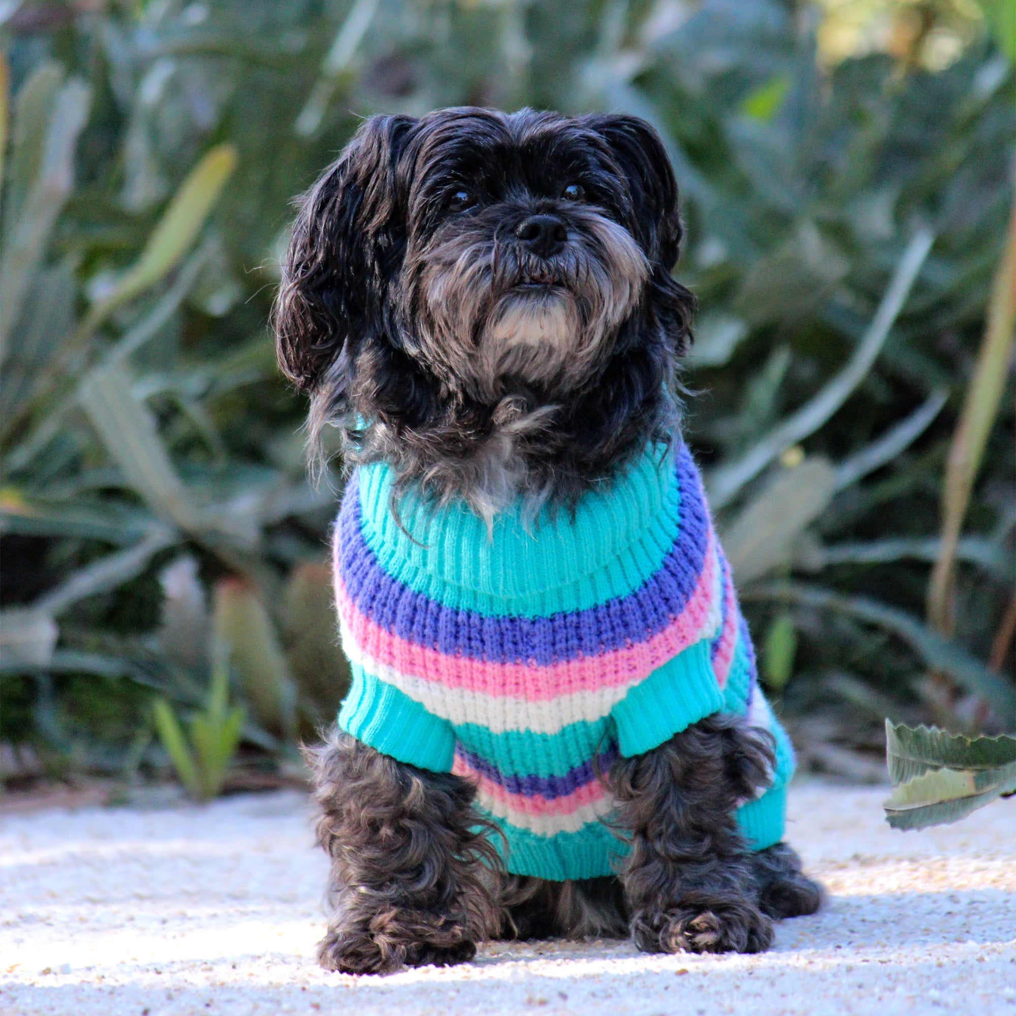 SOHO KNIT JUMPER