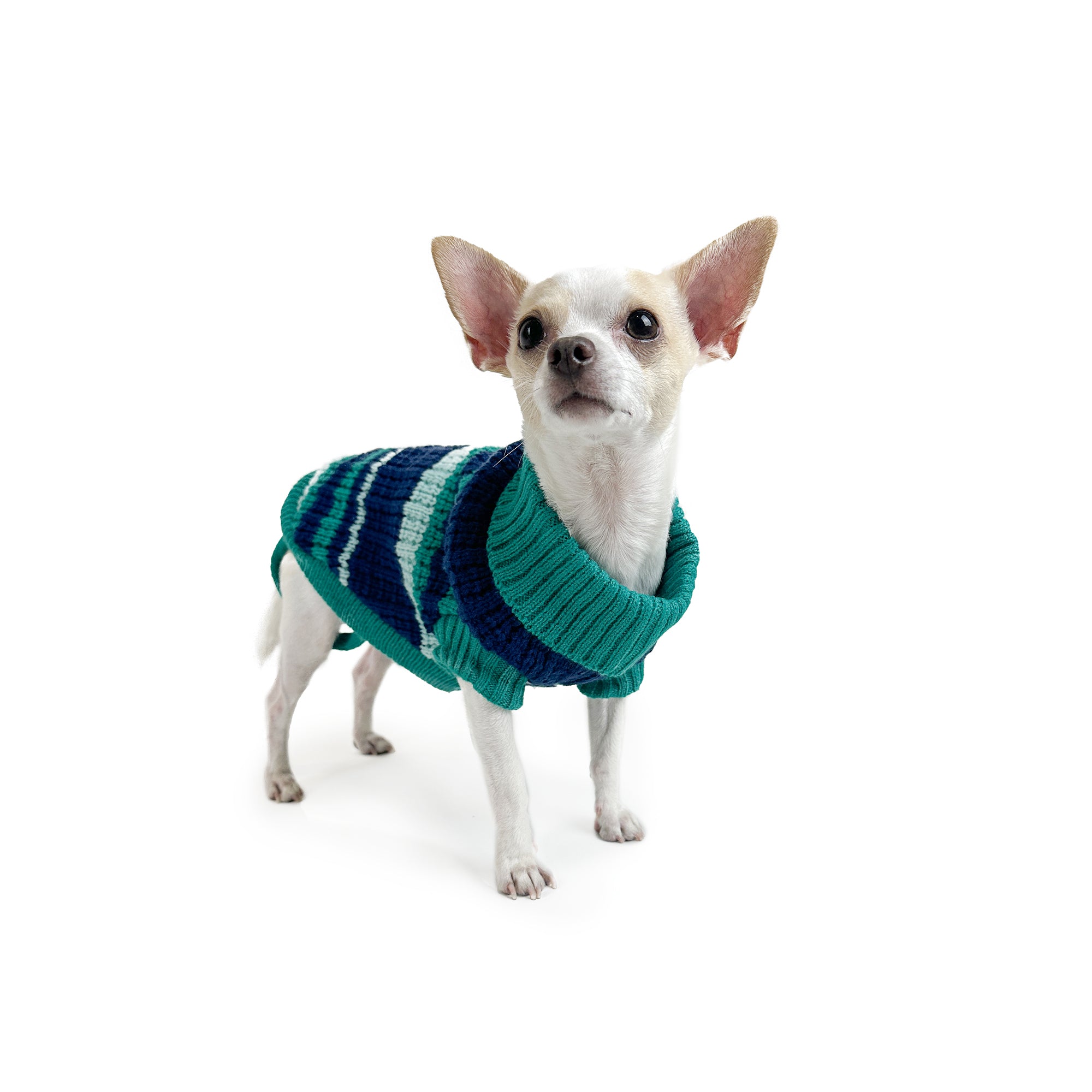 SKI LODGE JUMPER