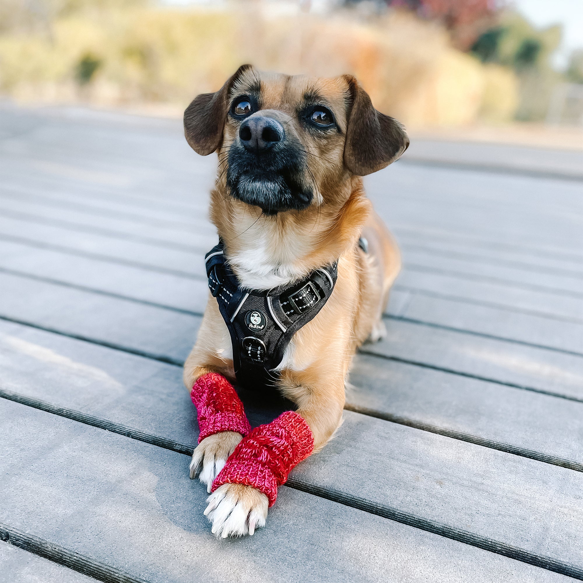 LEG WARMER