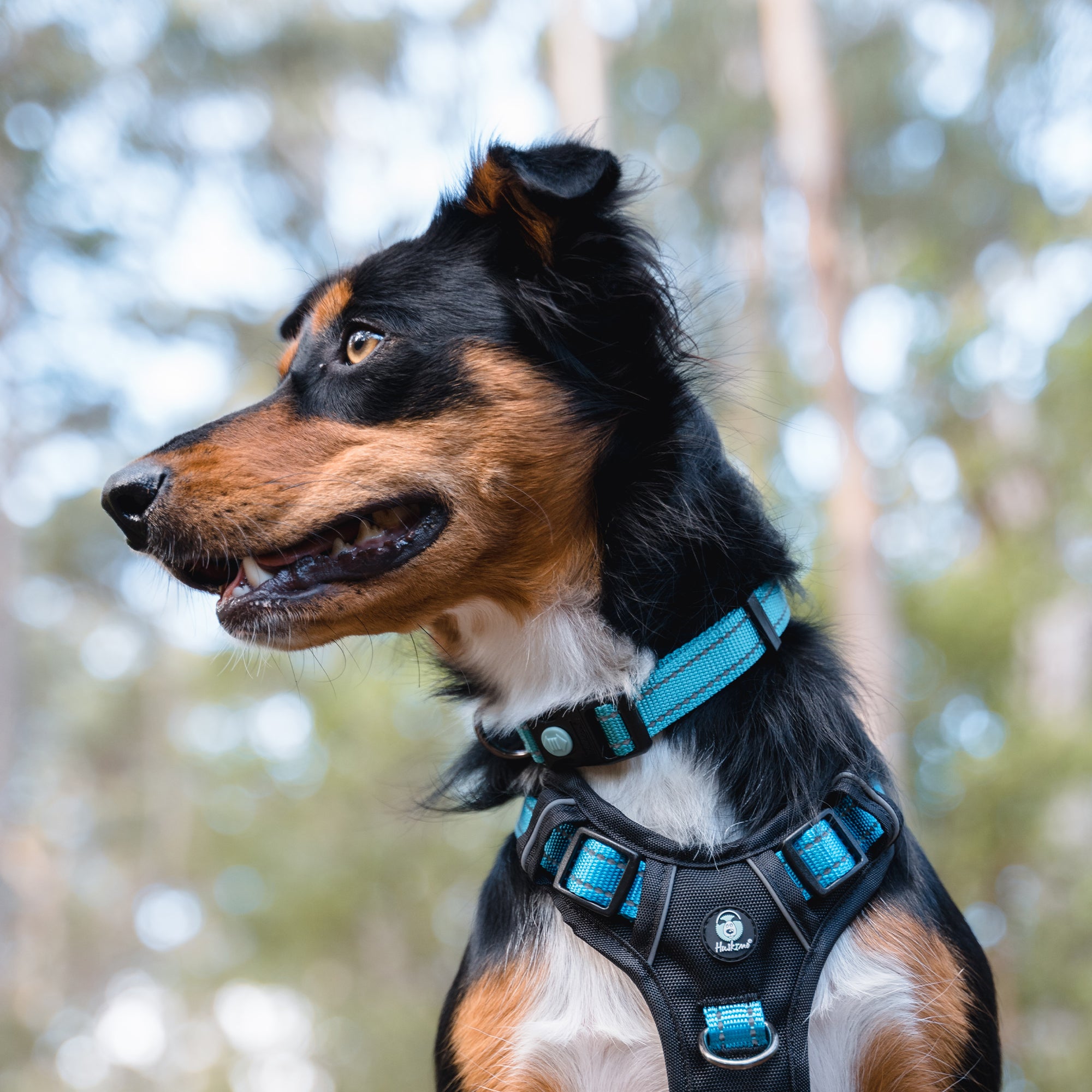 TREKPRO COLLAR