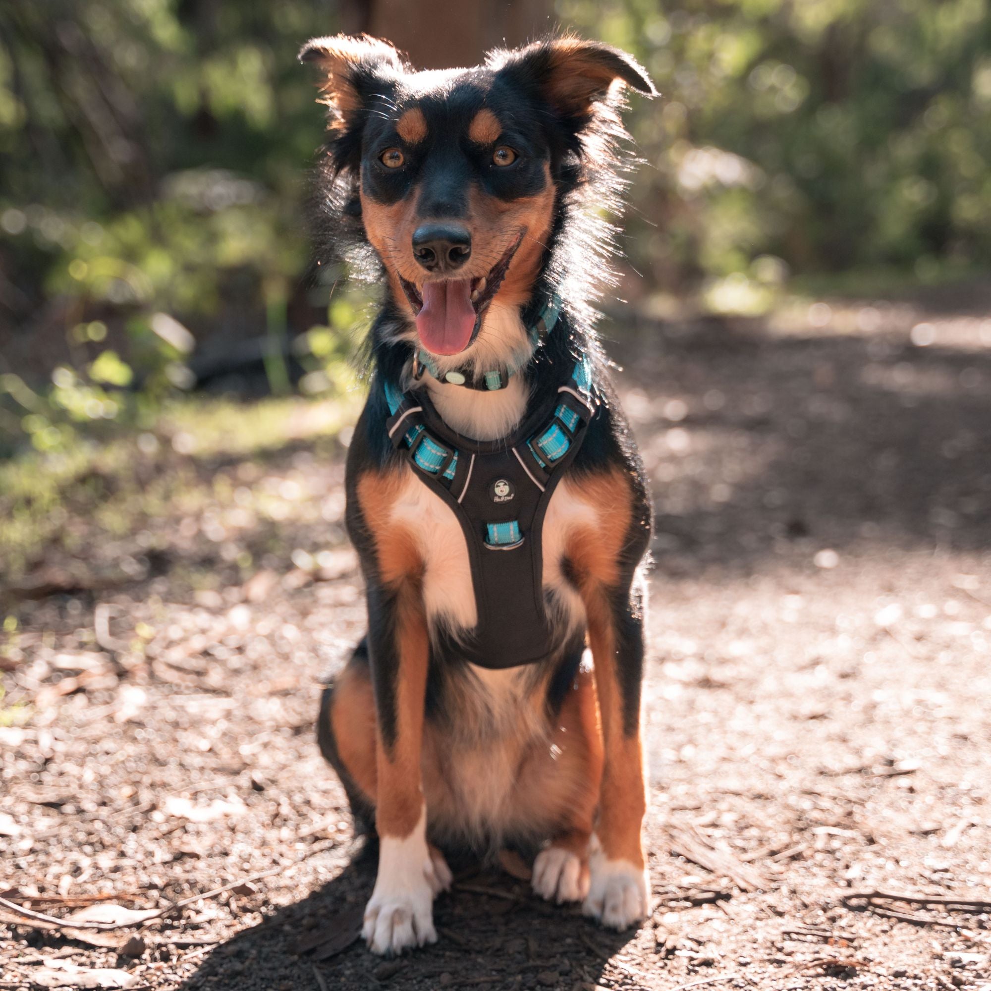 ULTIMATE HARNESS
