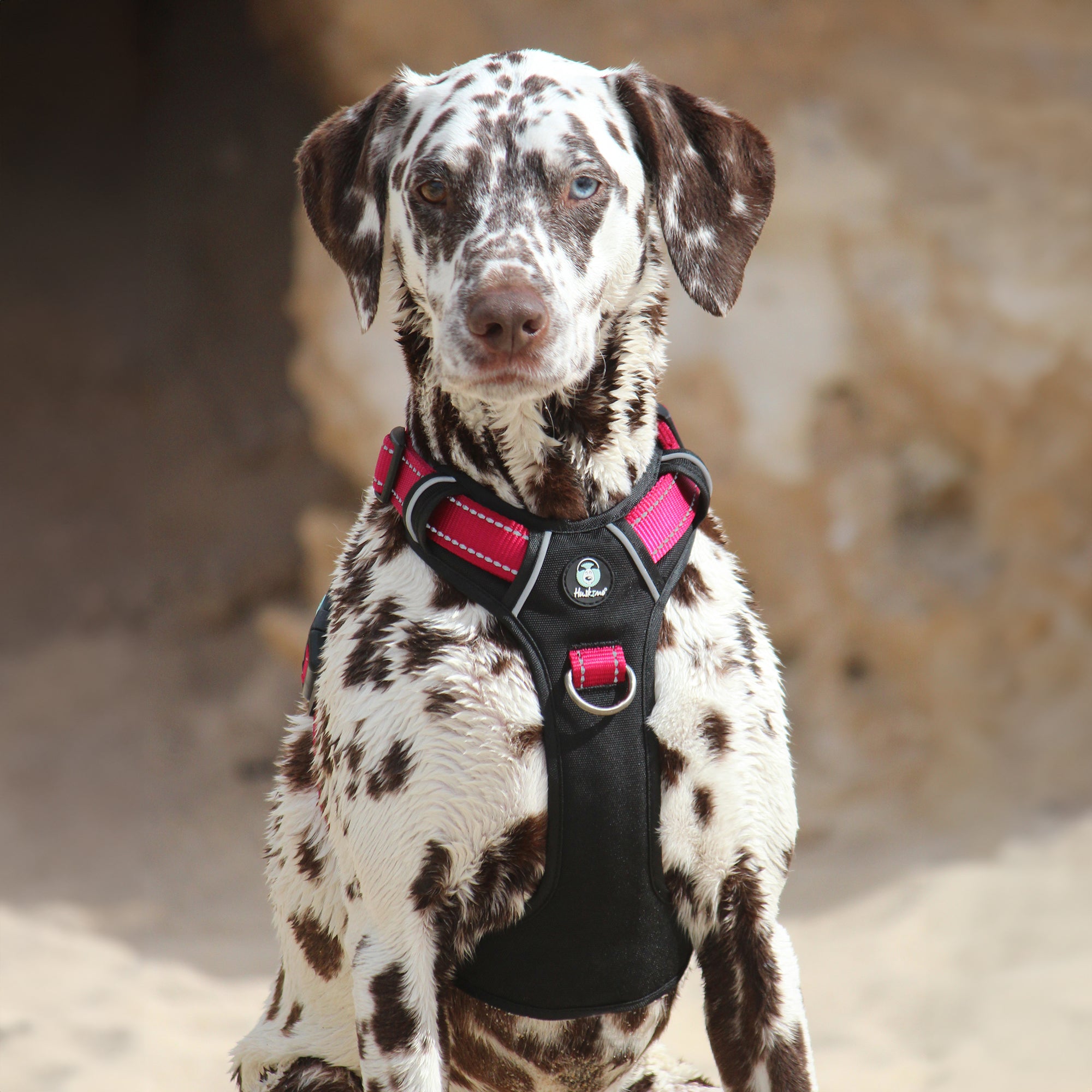 ULTIMATE HARNESS
