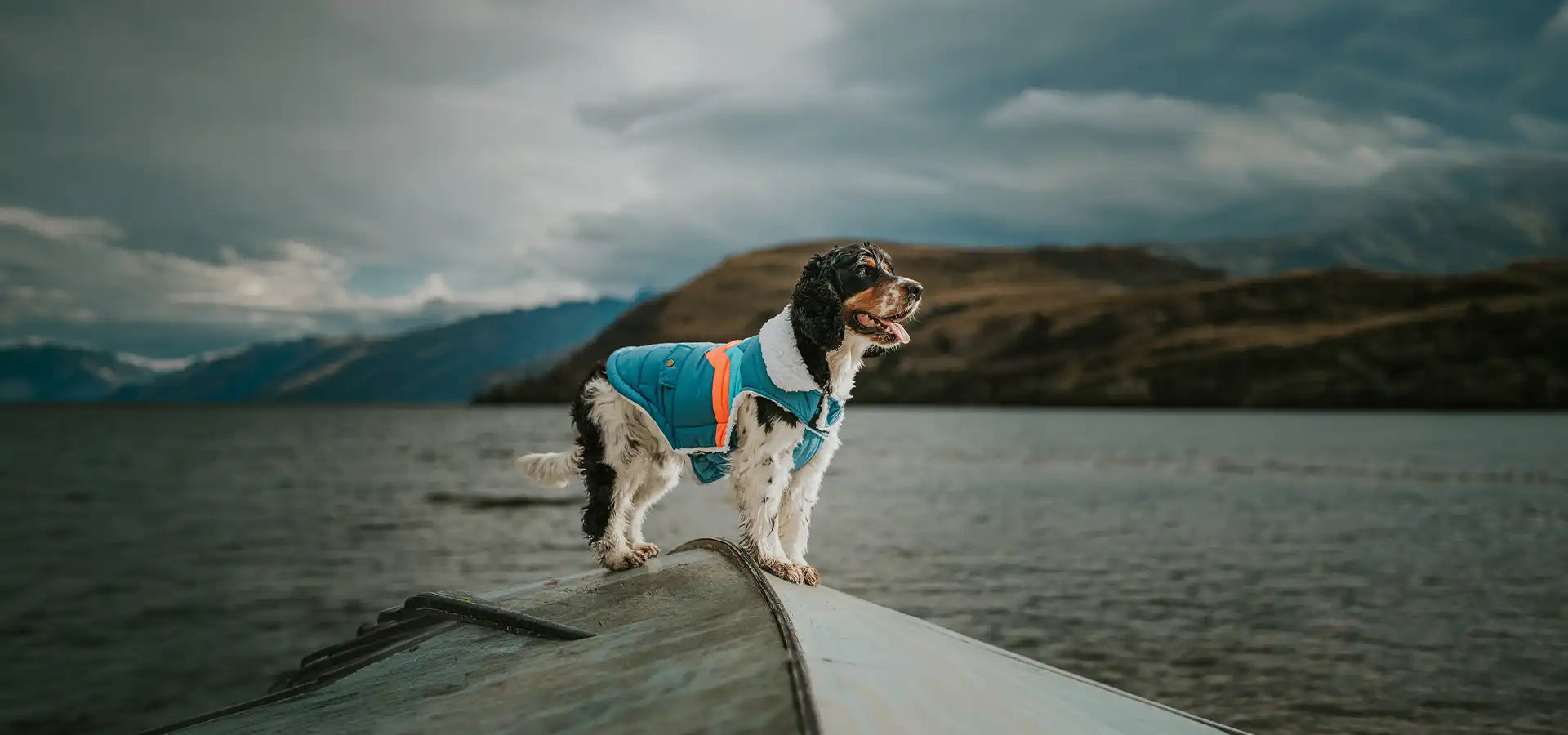 Dog standing on a boat near a lake wearing one of Huskimo’s dog coats