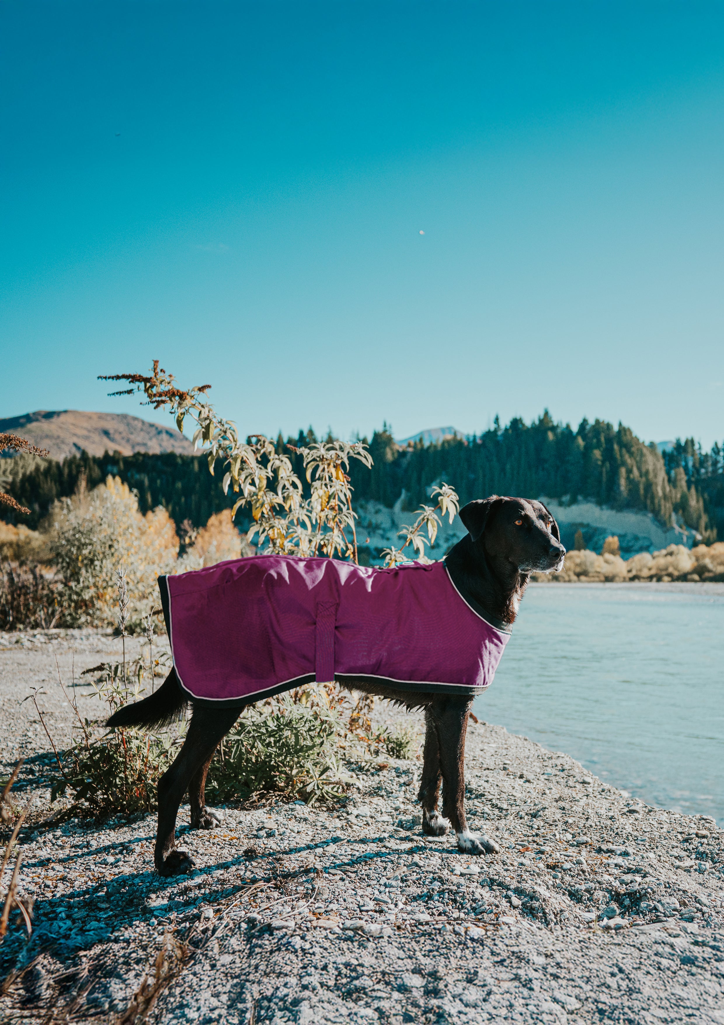 SUMMIT PRO COAT