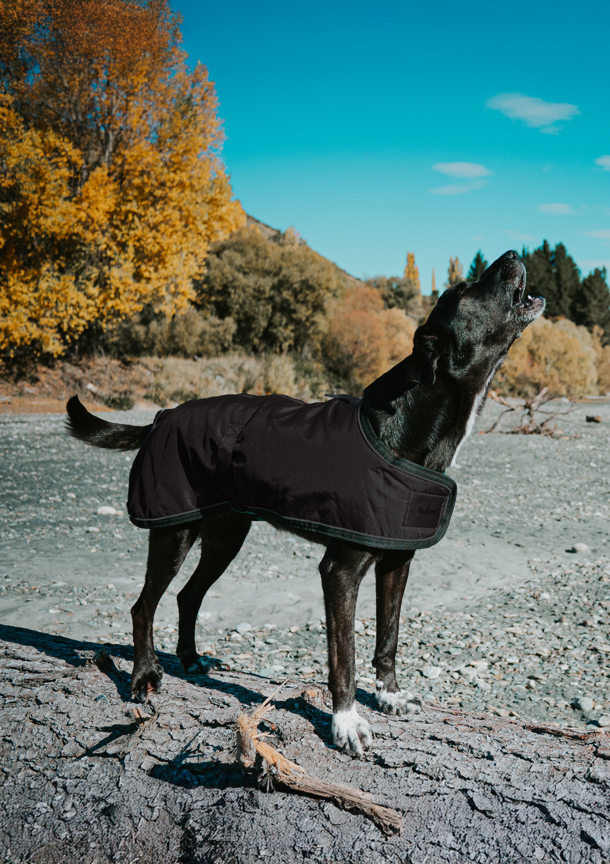 SUMMIT PRO COAT